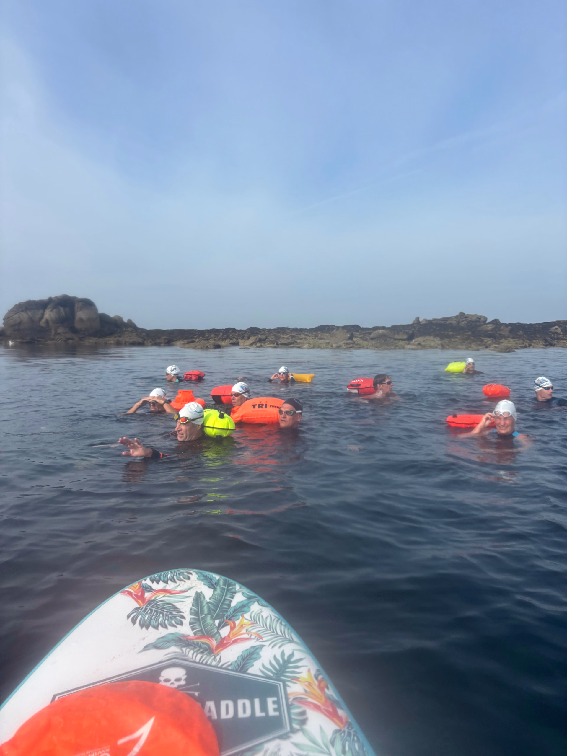Natation en eau libre et progression technique à Quiberon