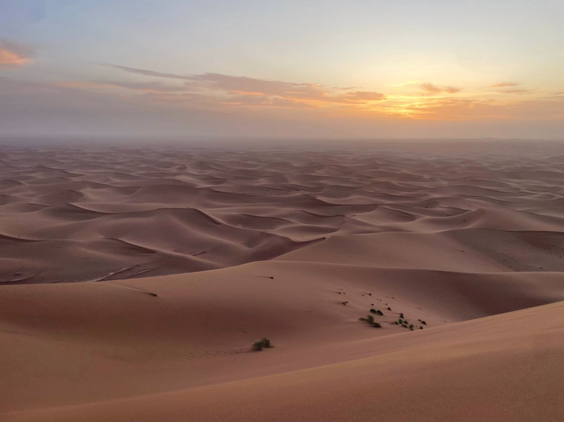 Trek Désert Maroc - 8 jours d'aventure entre montagnes et dunes