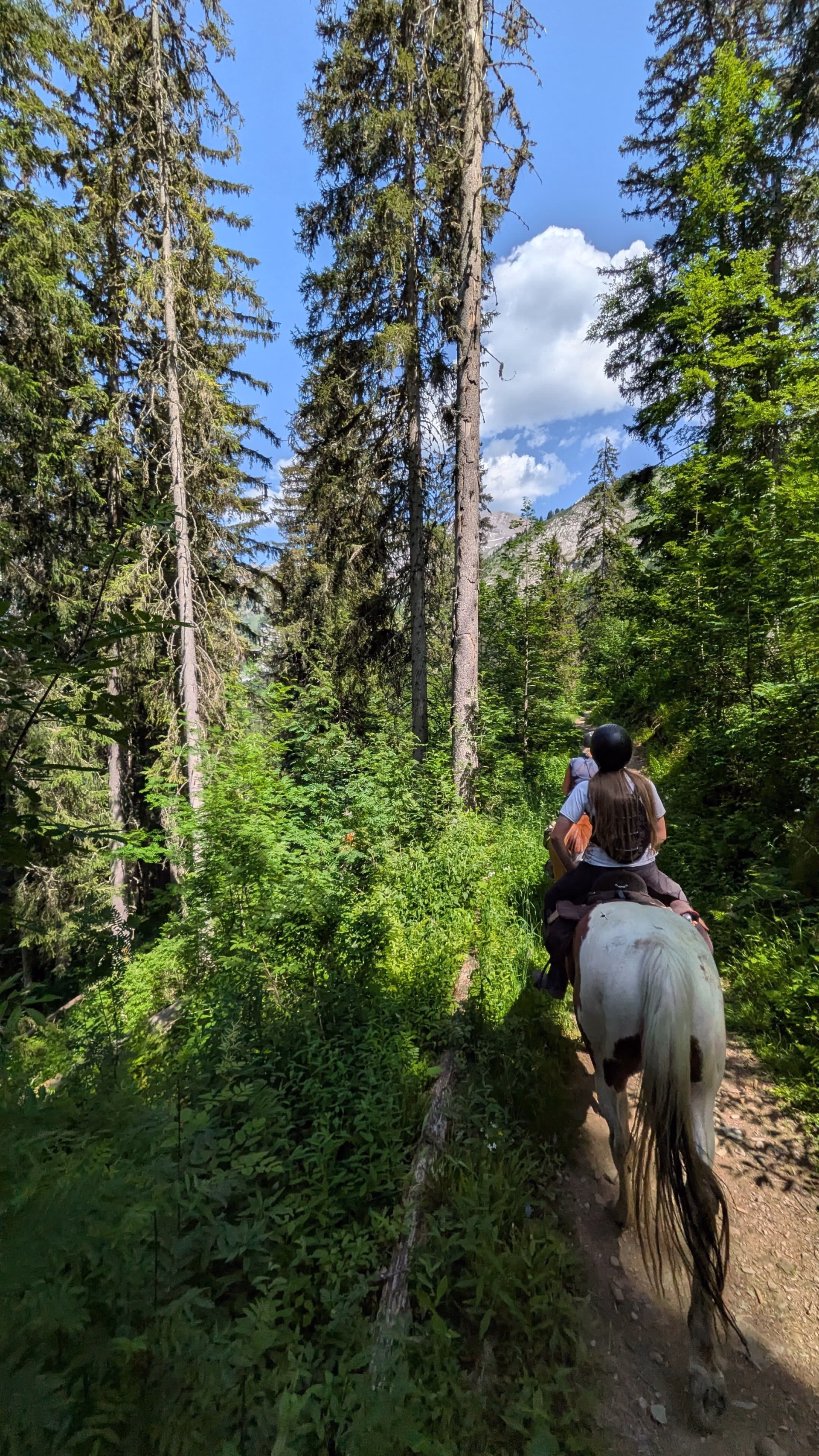 Séjour cheval et bien être dans les Aravis