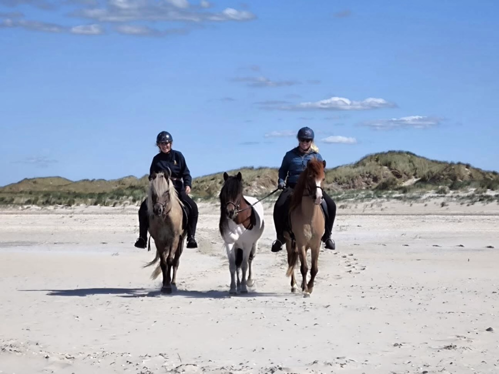 Randonnée équestre sur les plages du Danemark entre fjords et Wadden