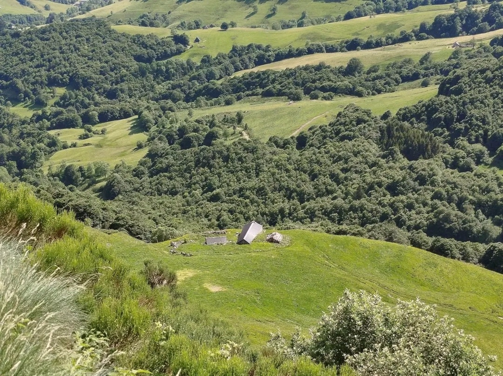 Escapades estivales au cœur du Cantal