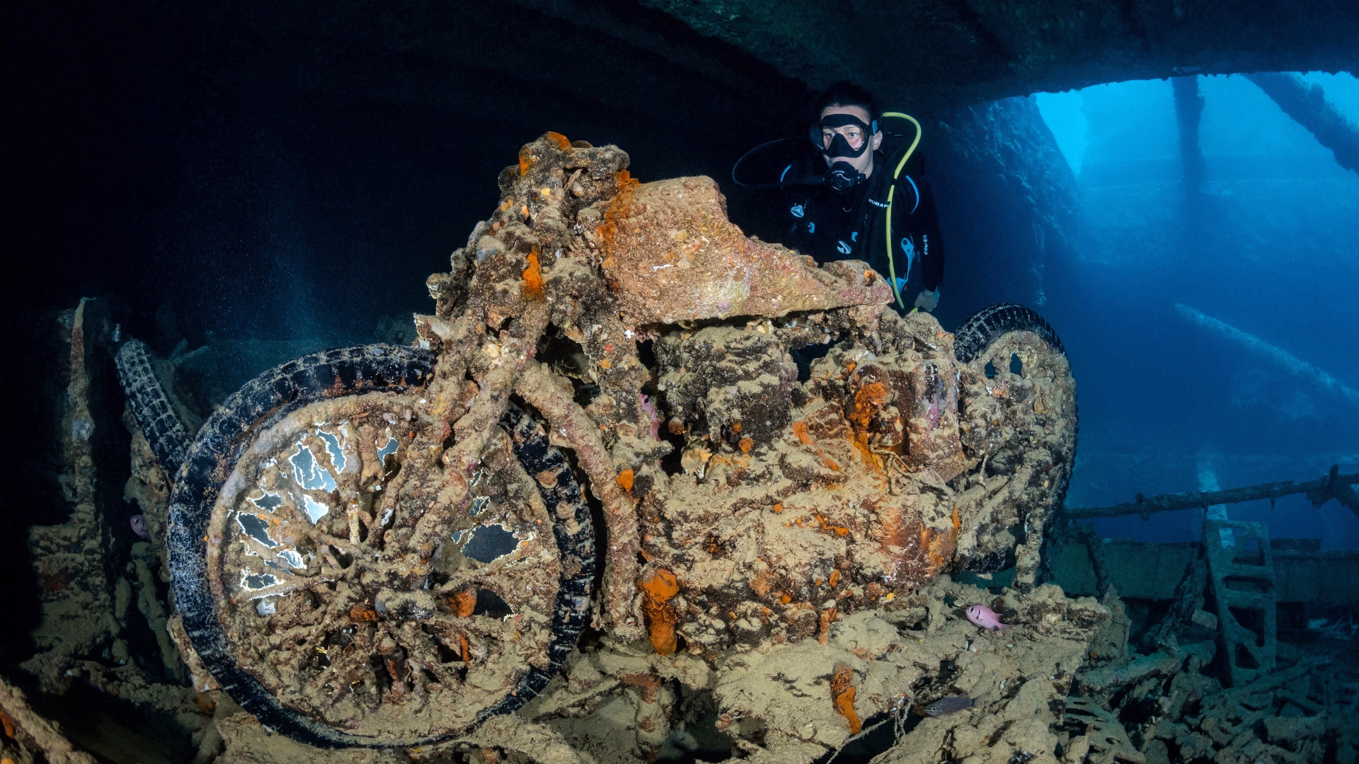 Voyageur solo : croisière plongée dans le Parc National de Ras Mohamed