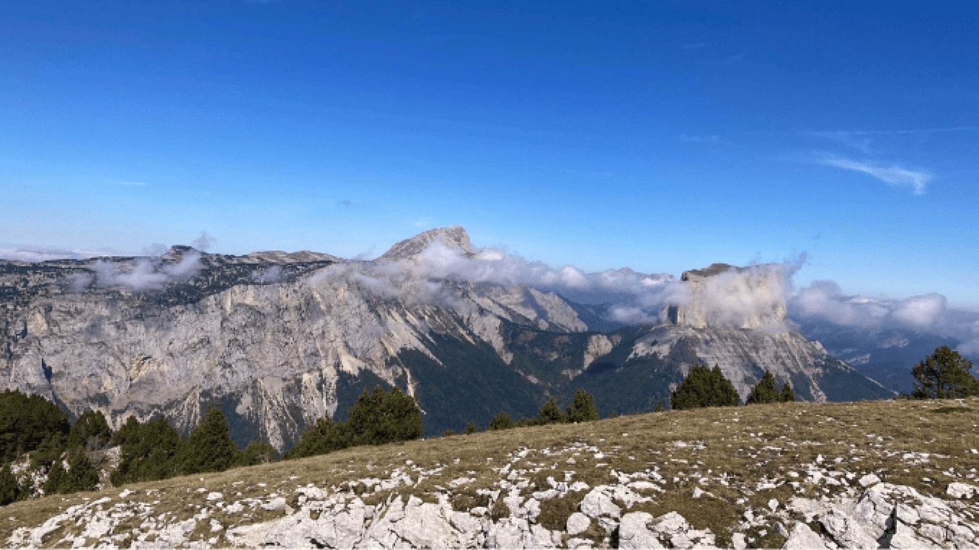 Sur les traces du loup : à la rencontre de votre part sauvage