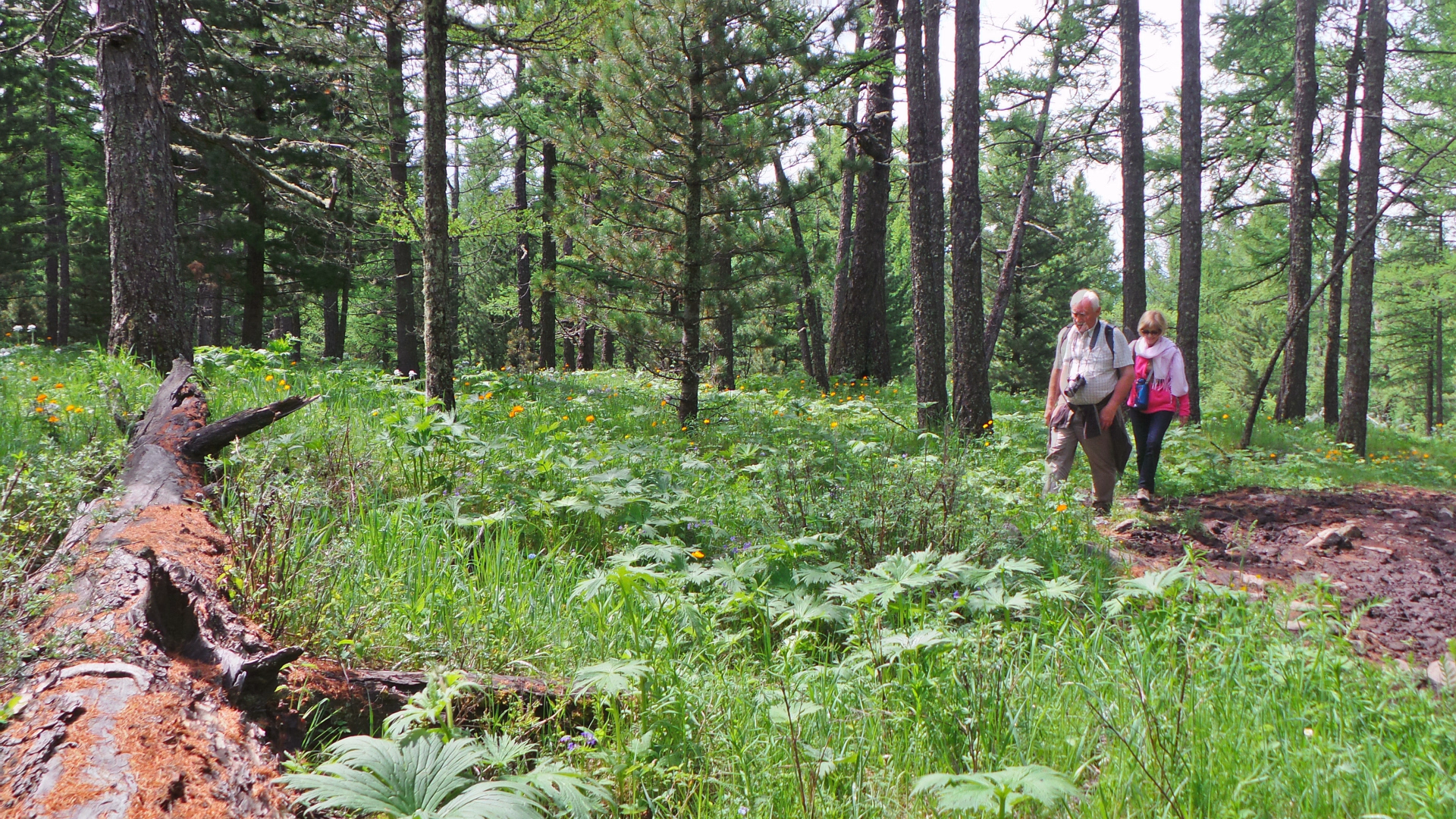 Trek et expédition 4x4 dans le désert de Gobi