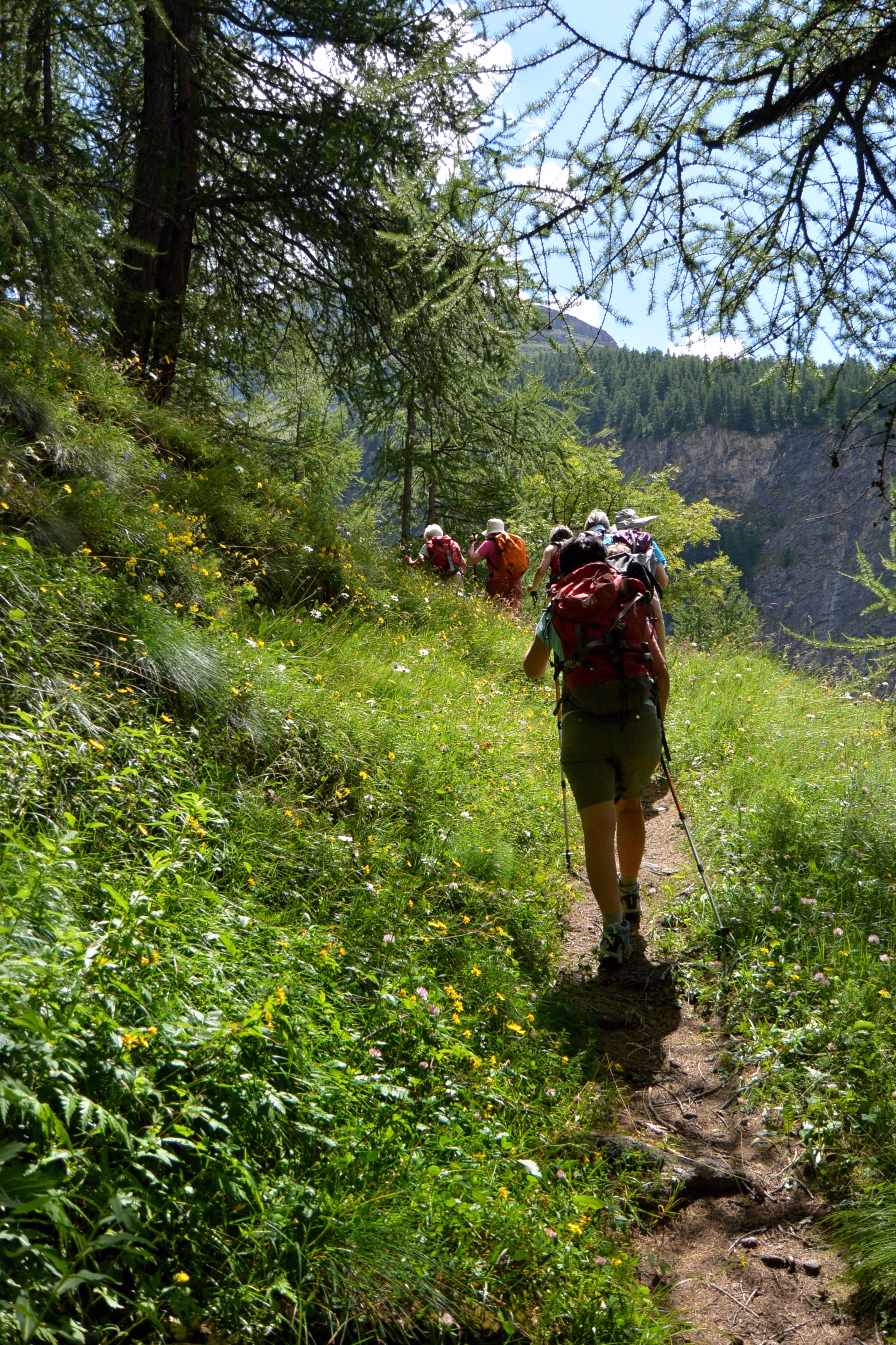 Rando Cosy – Douces randonnées à Bessans