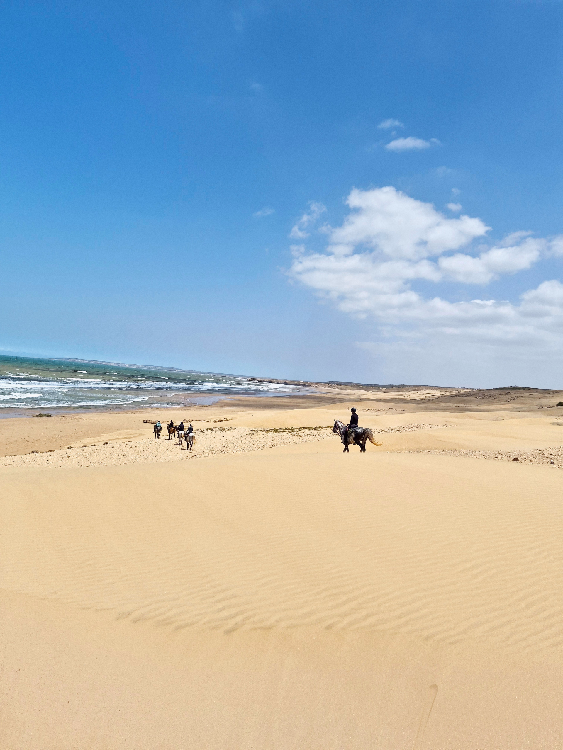 La Boucle d'Argana - Randonnée équestre à Essaouira