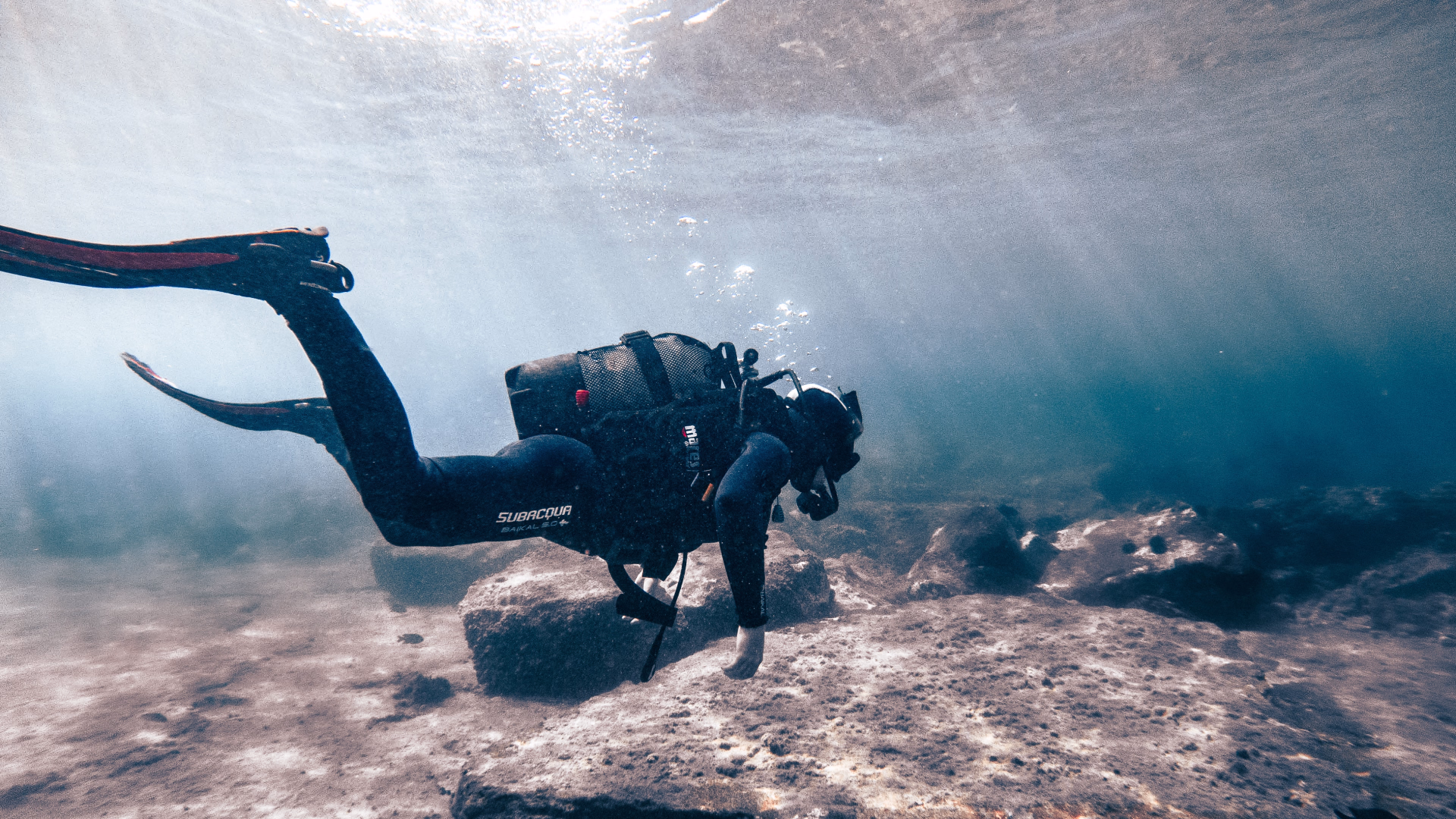 Baptême de plongée dans la baie des raies