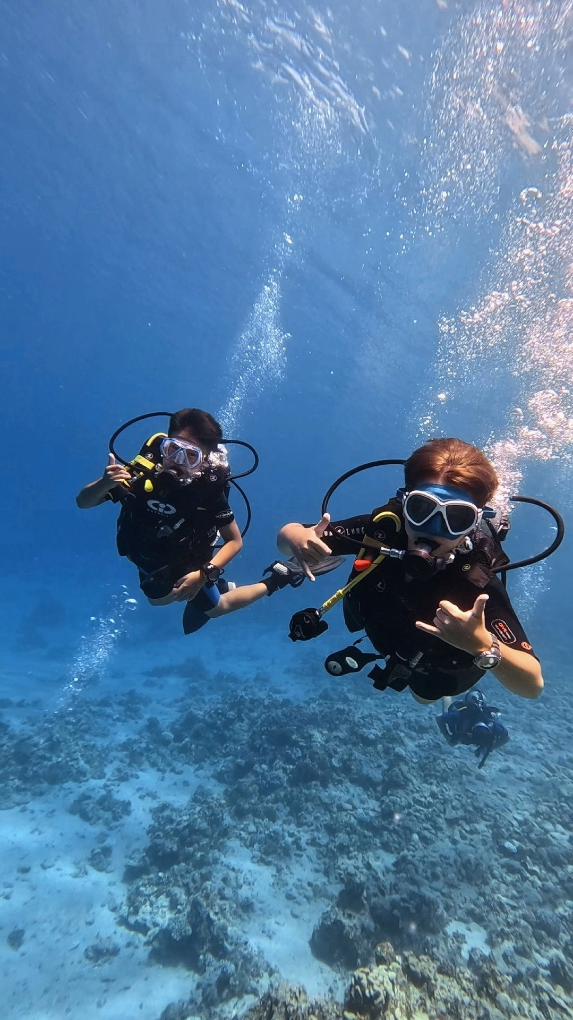 Cours PADI Open Water à Dahab