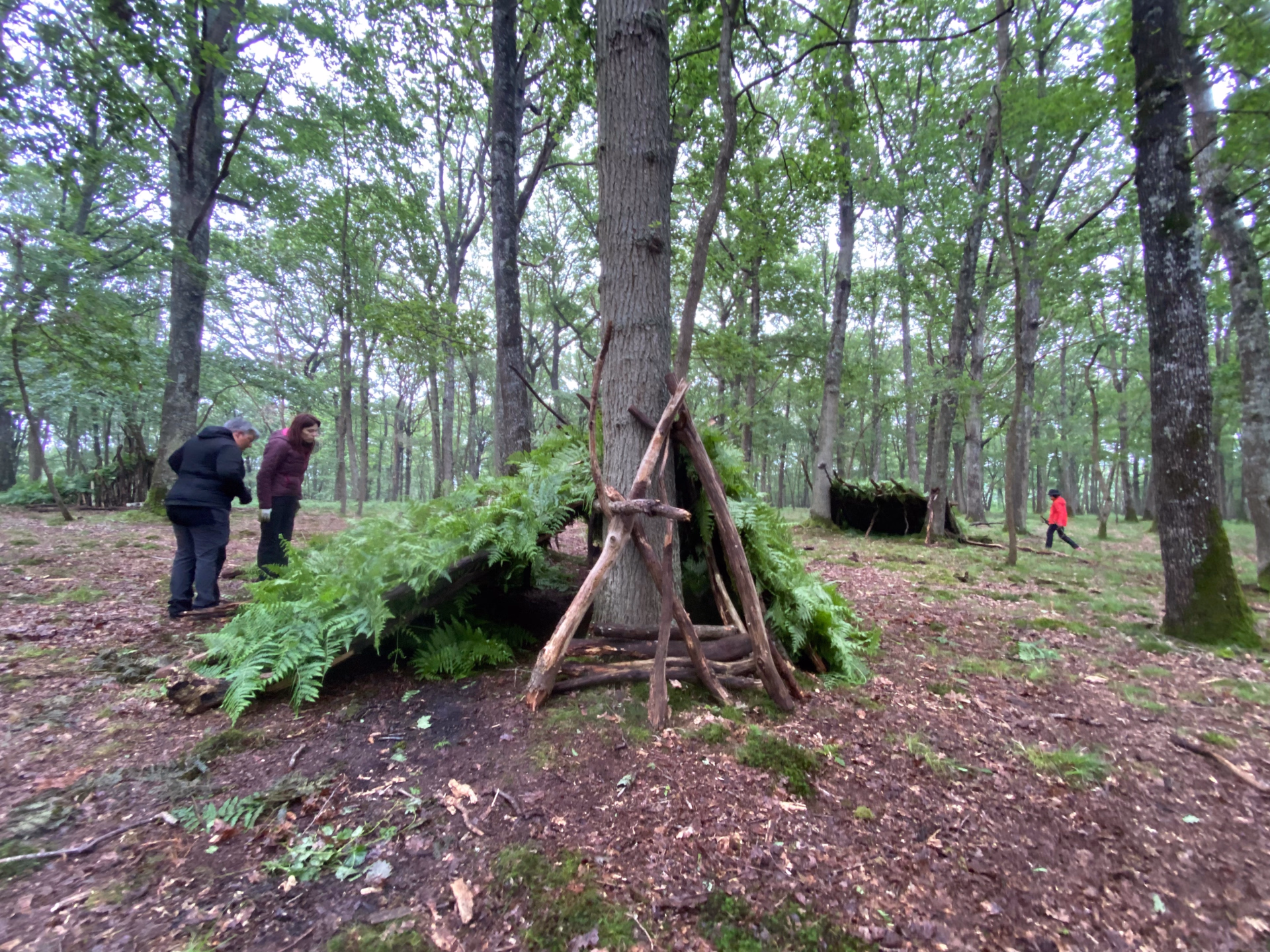 ⛺️ Bivouac/tente - Jours 1 à 4