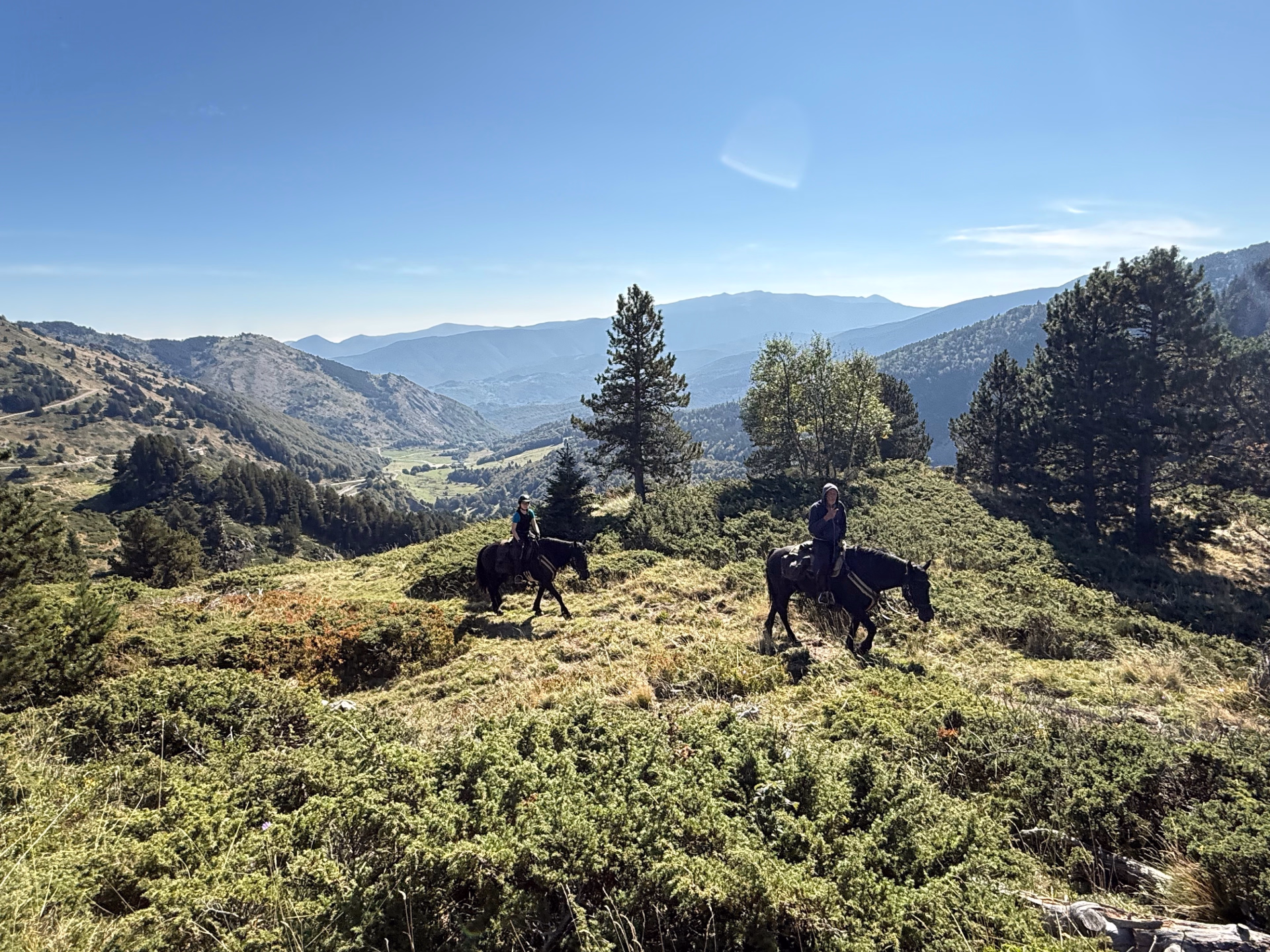 Brame du cerf en Pyrénées catalanes à cheval