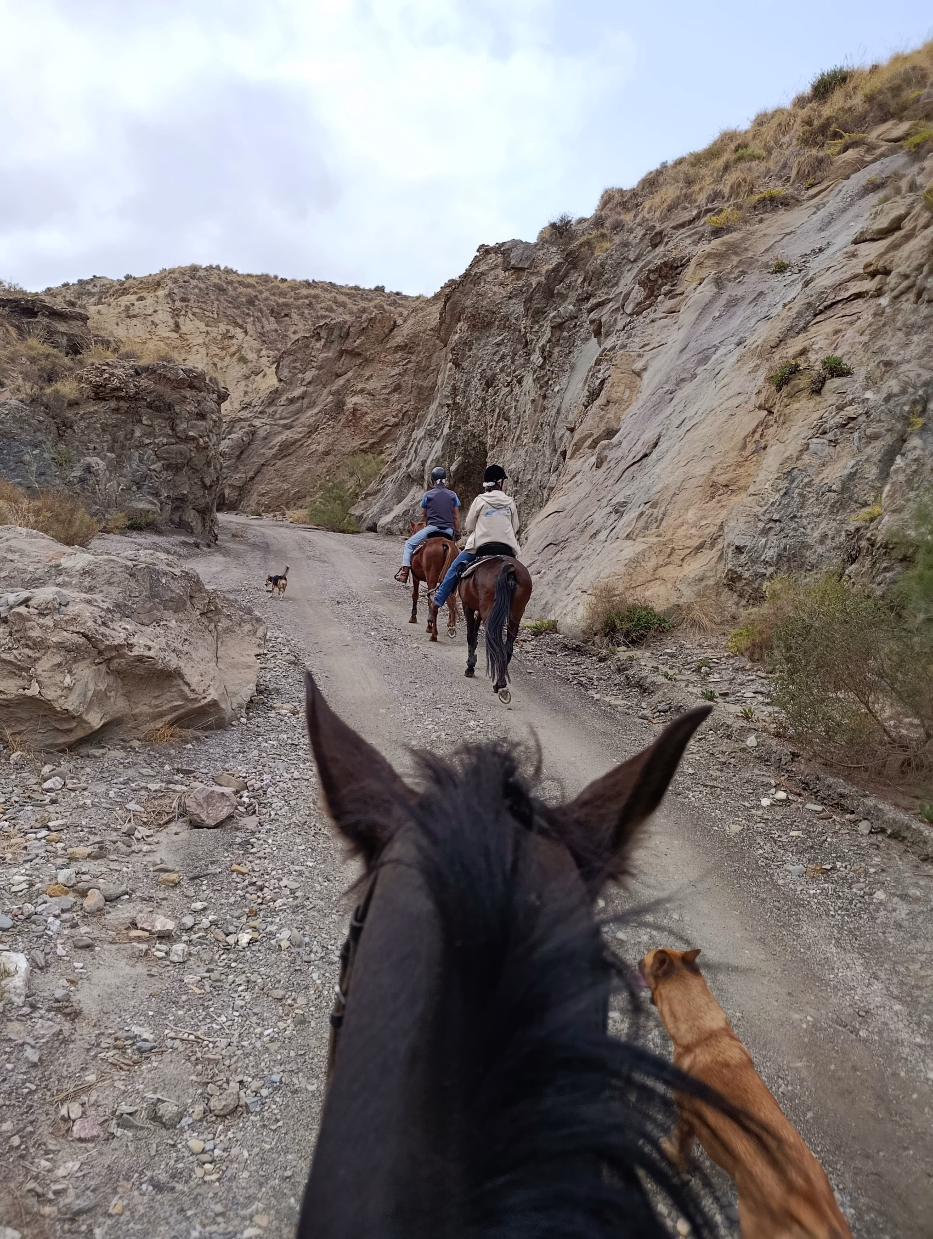 Randonnée équestre dans le désert de Tabernas