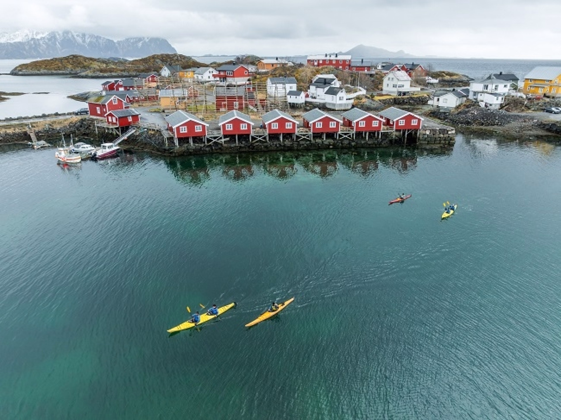 Aventure arctique dans l'archipel des Lofoten