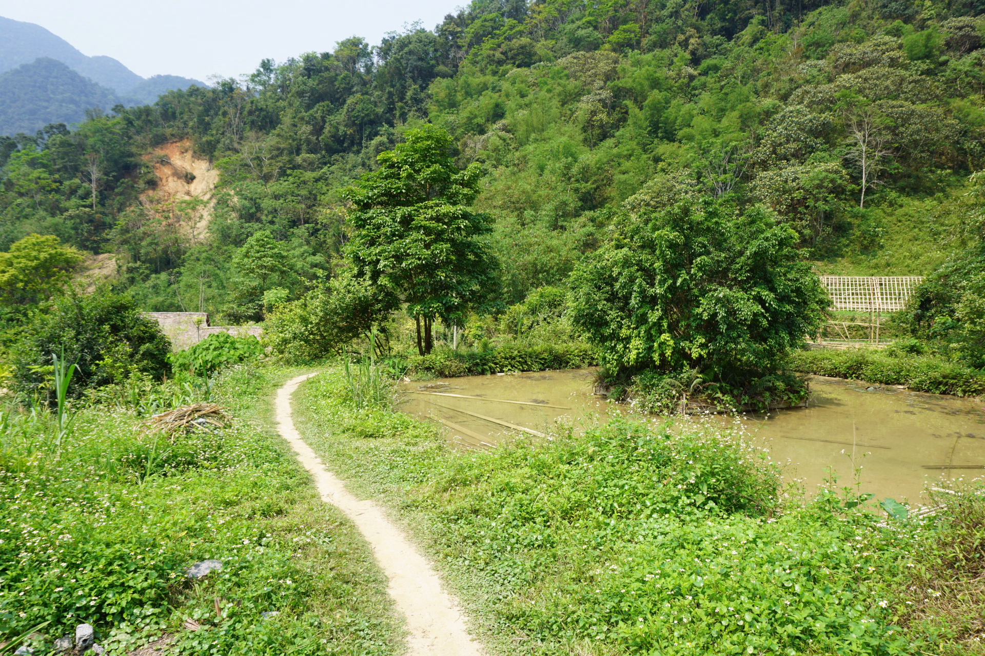 Sur les sentiers du Vietnam en randonnée