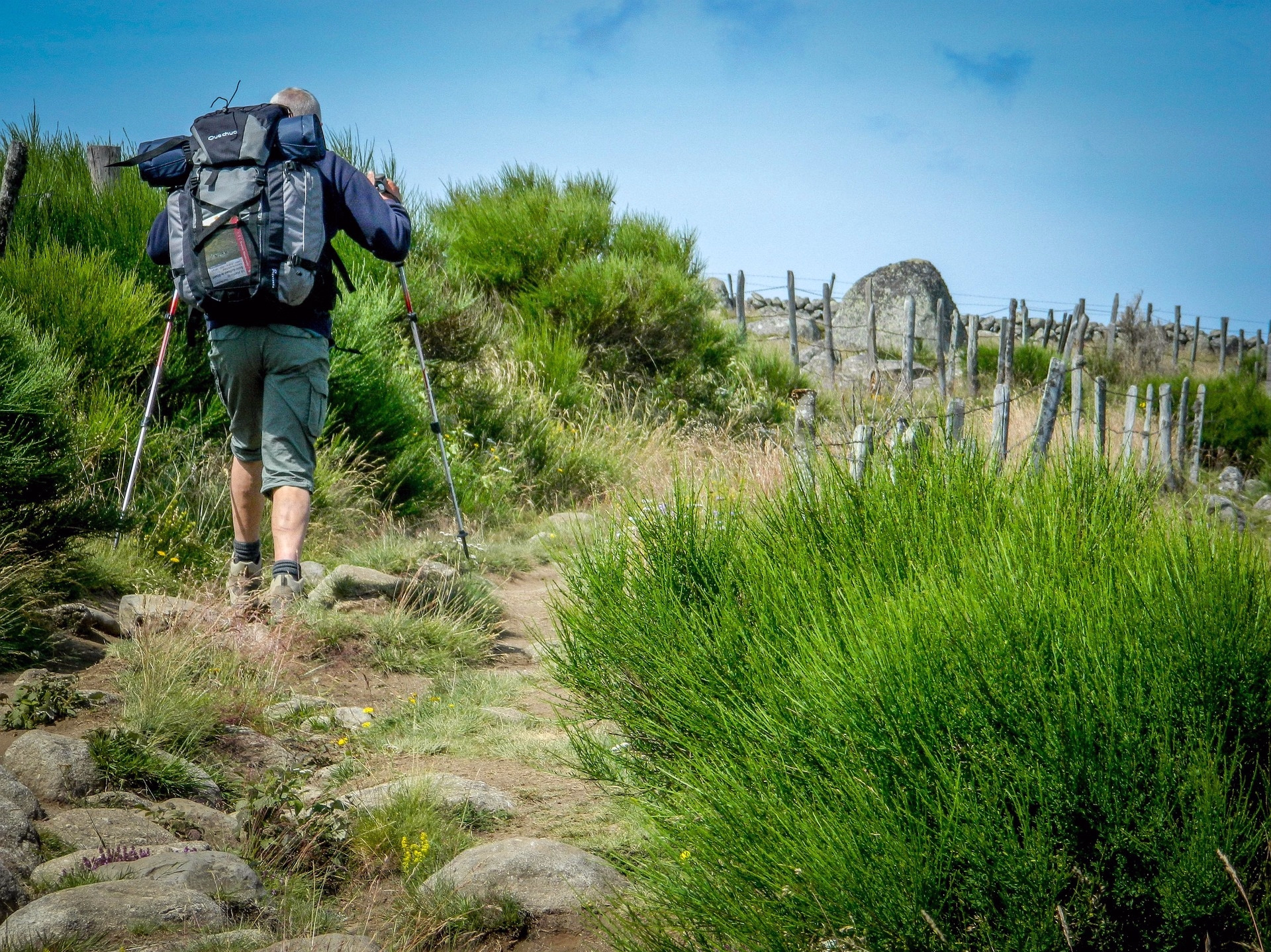 Compostelle en Aubrac - 4 jours de Aumont-Aubrac à St Côme d'Olt