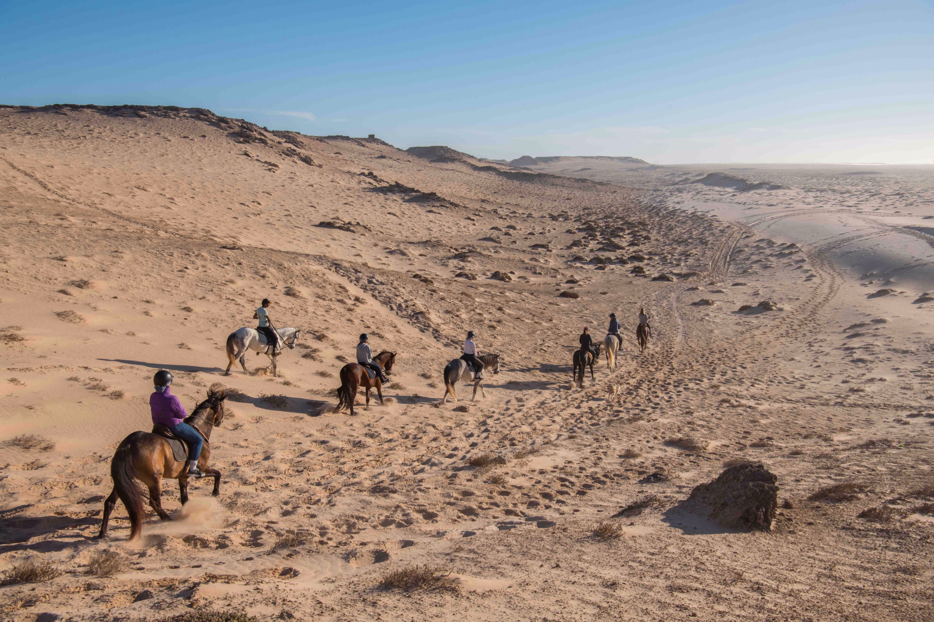 Balades à cheval au coeur du Sahara, entre océan et désert.