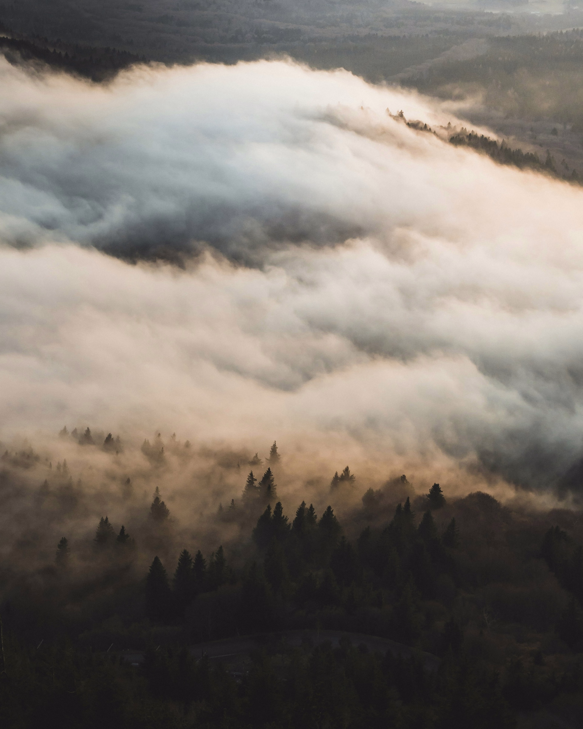Stage trail en Auvergne au cœur du massif du Sancy