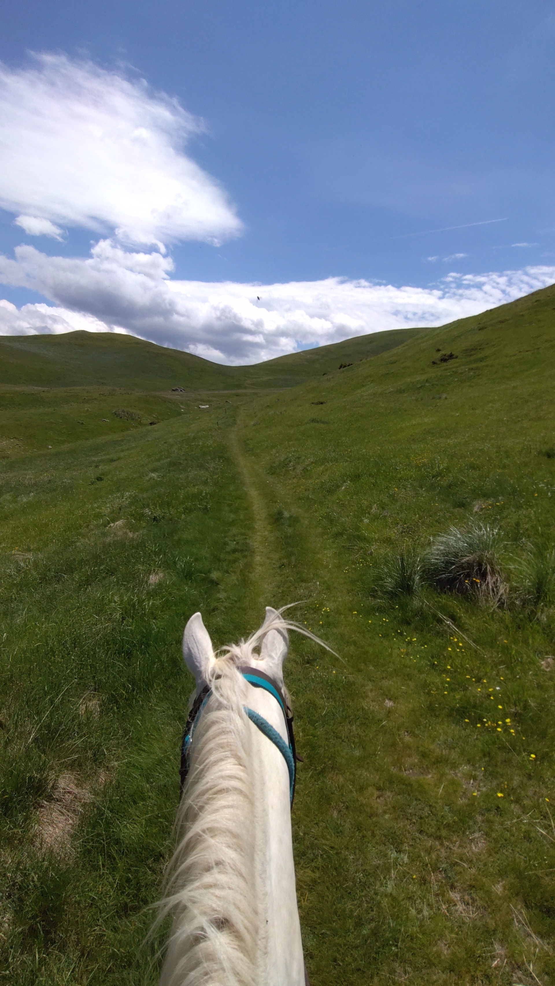 Tour des Monges à cheval