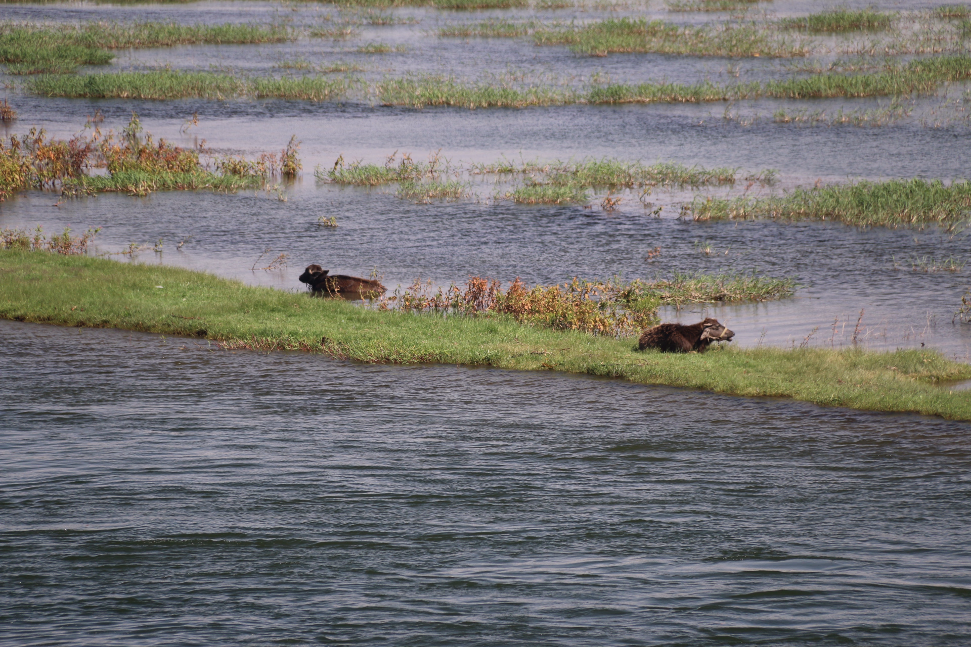 Voyage au rythme du vent : dahabeya et découvertes du Caire à Assouan