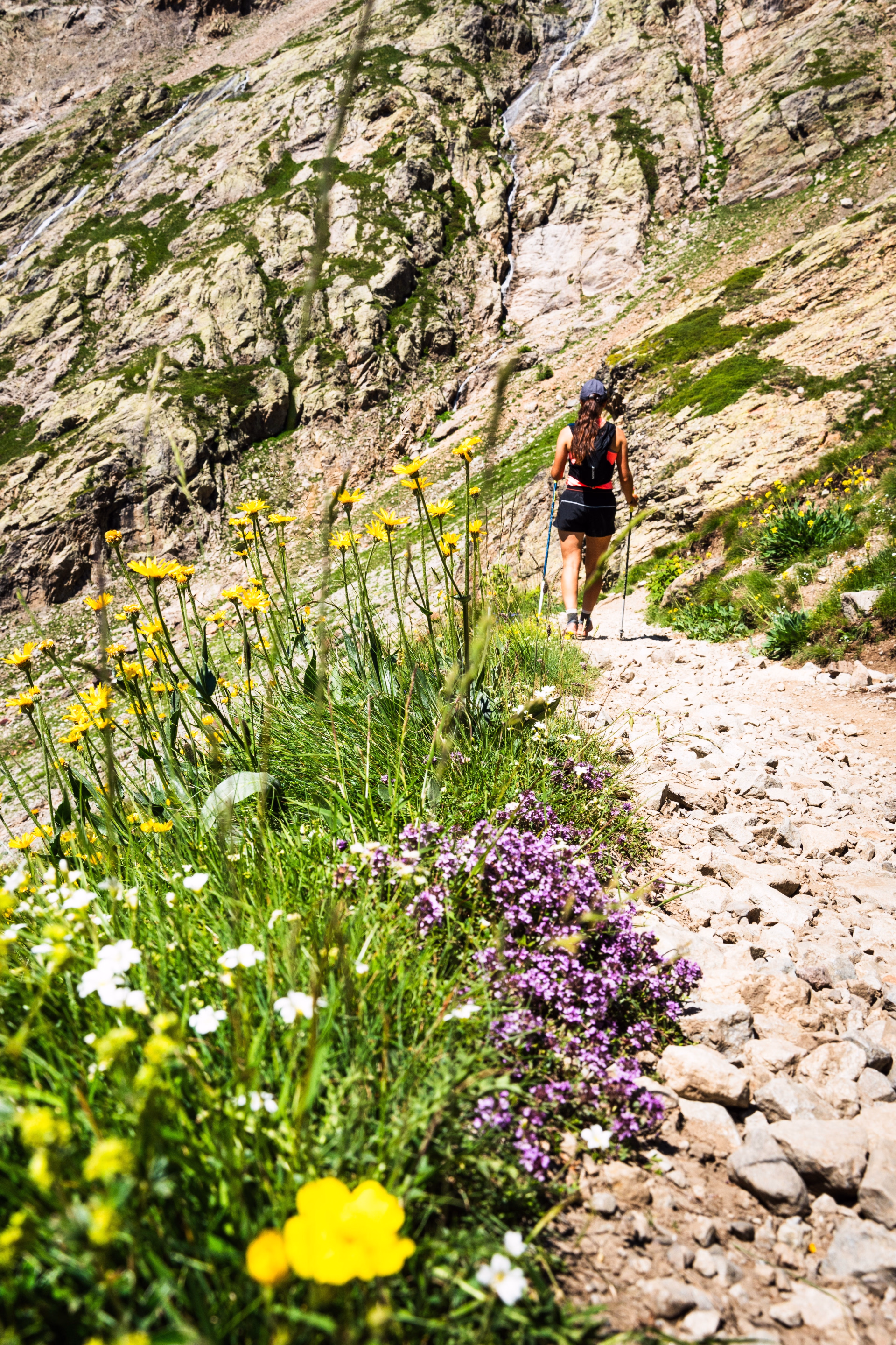 Trail et yoga dans les Alpes : progression et équilibre - 3 jours