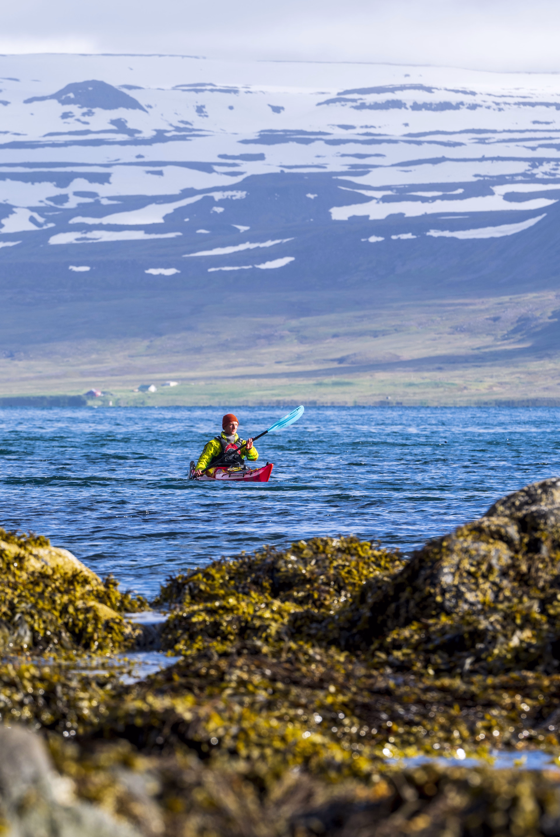 Excursions Kayak de mer dans les fjords glaciaires du Hornstrandir