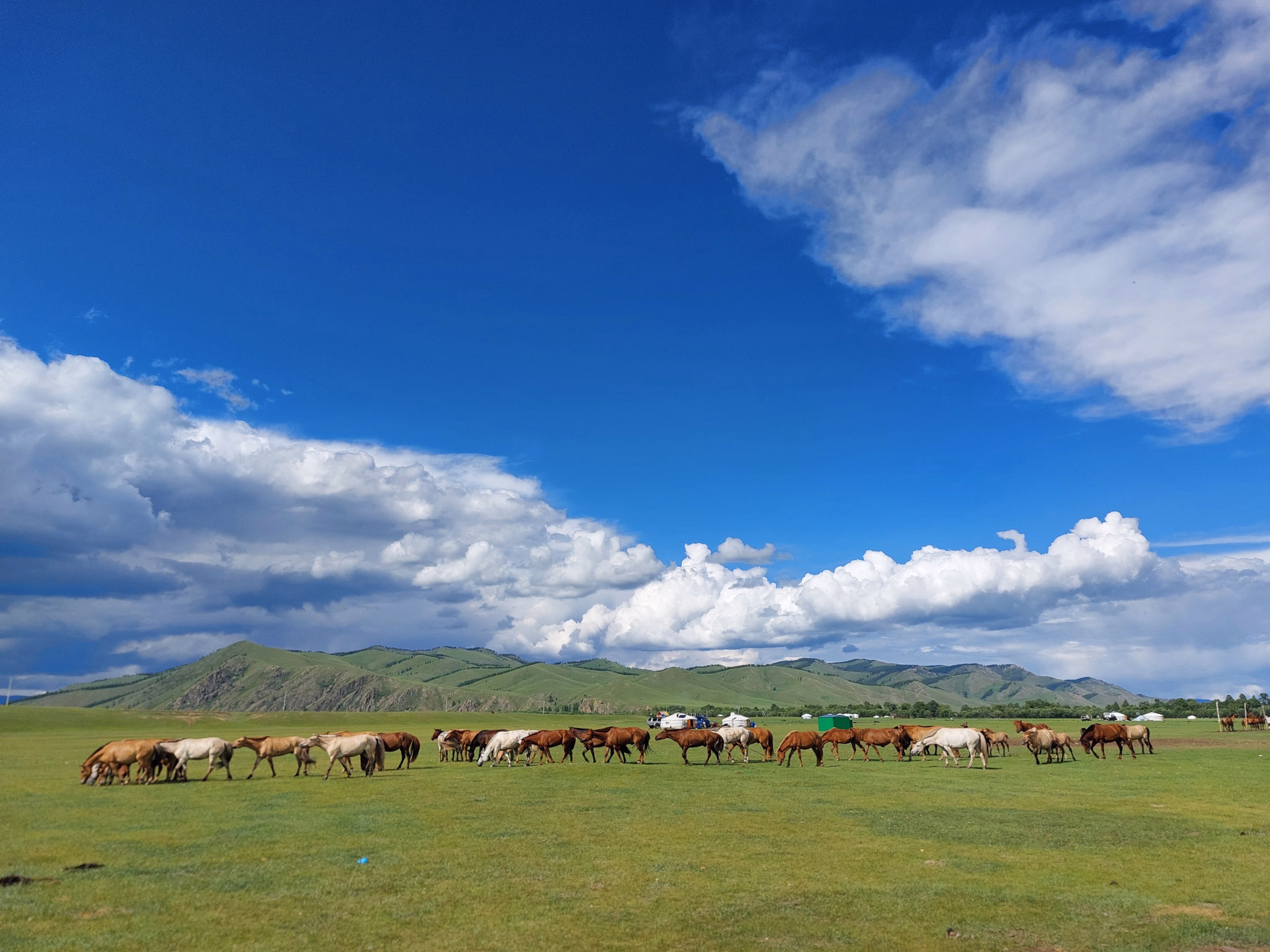 Randonnée à cheval dans le parc national de Terelj en Mongolie