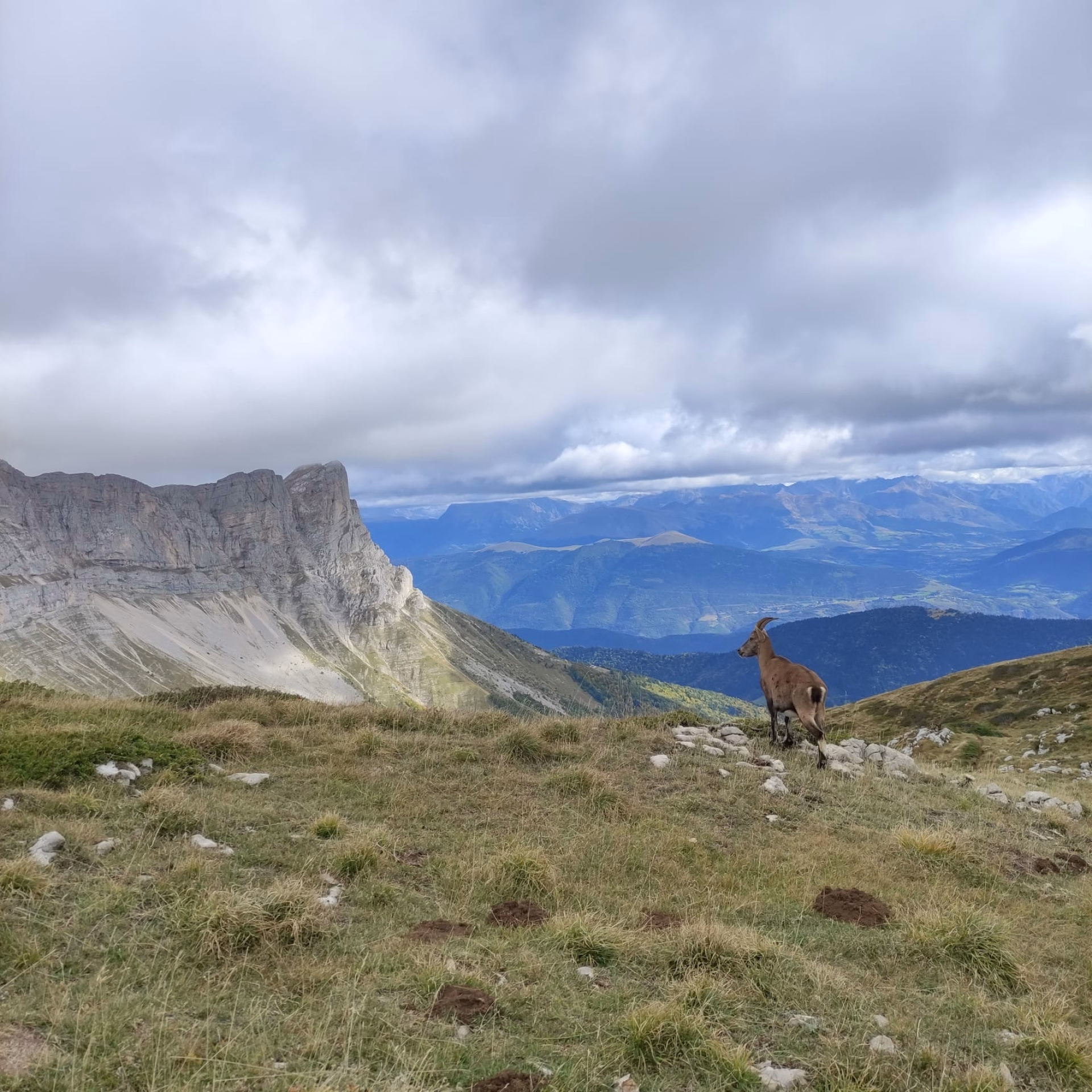 Stage de trail dans le massif du Vercors