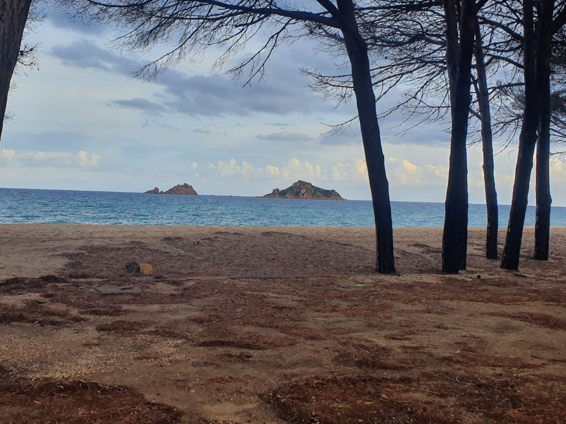 Randonnée entre falaises et criques secrètes en Sardaigne