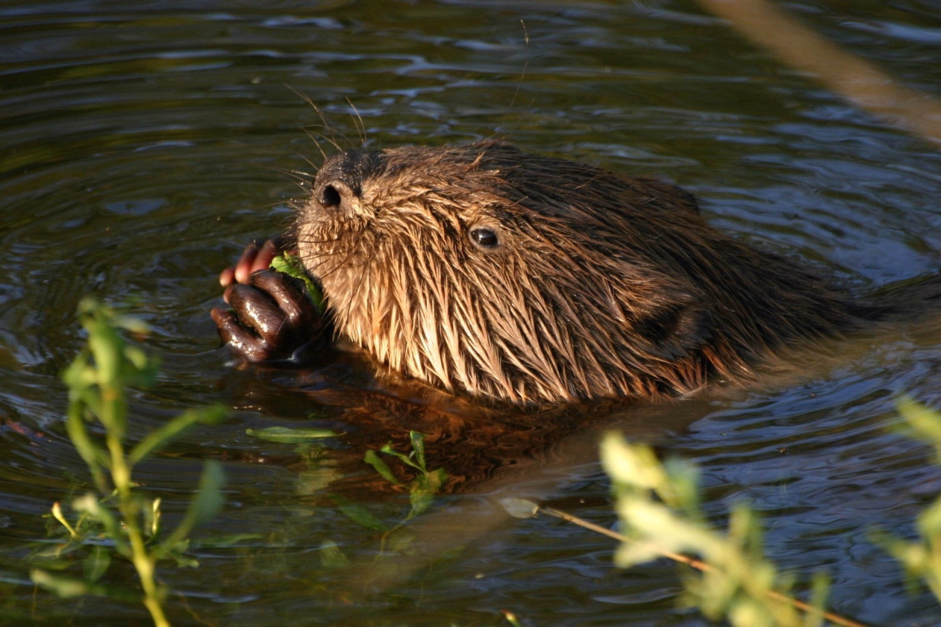 2 jours dans la nature du Parc Naturel des 2 Ourthes