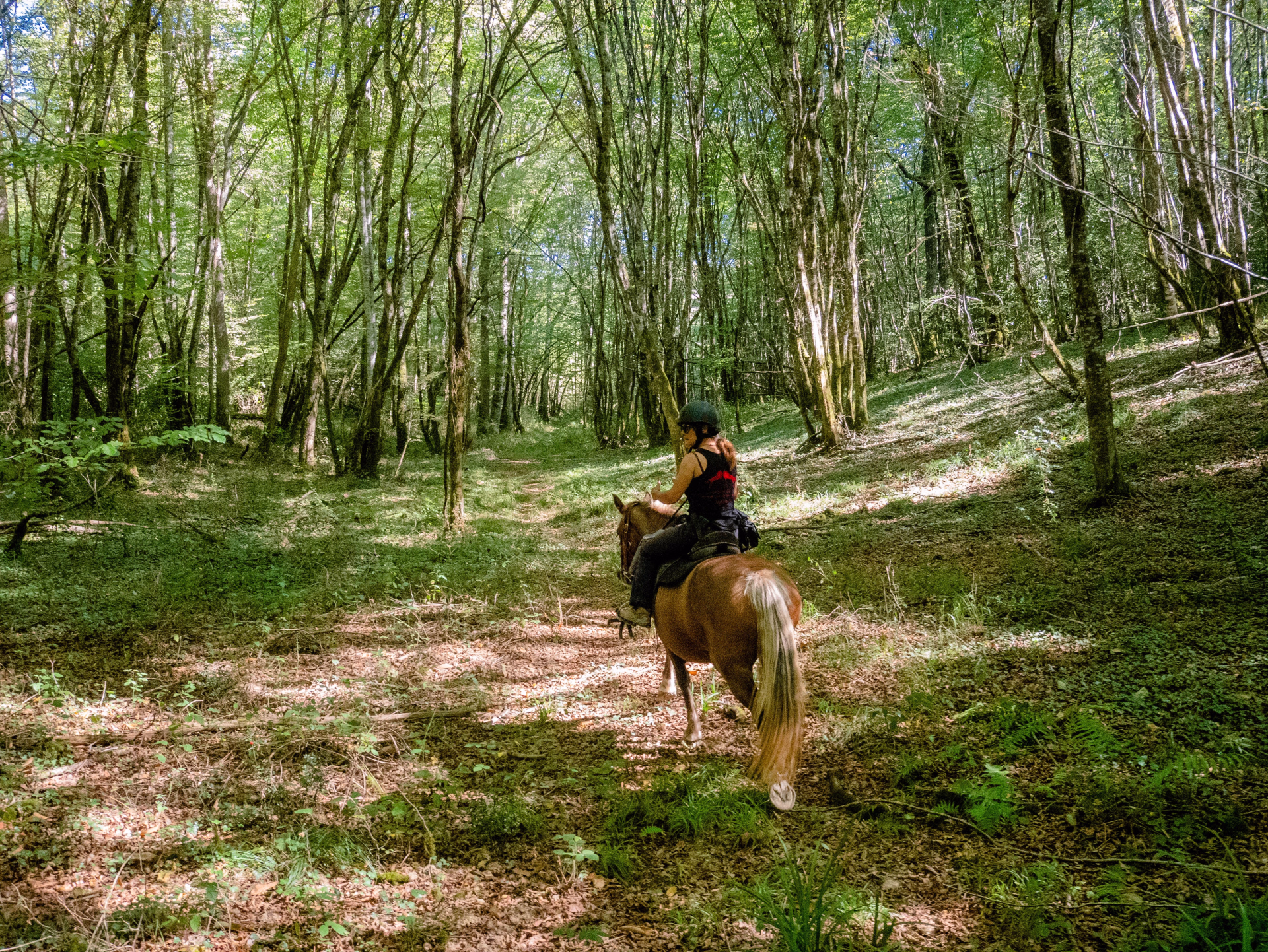 Weekend à cheval au pays d'Artagnan