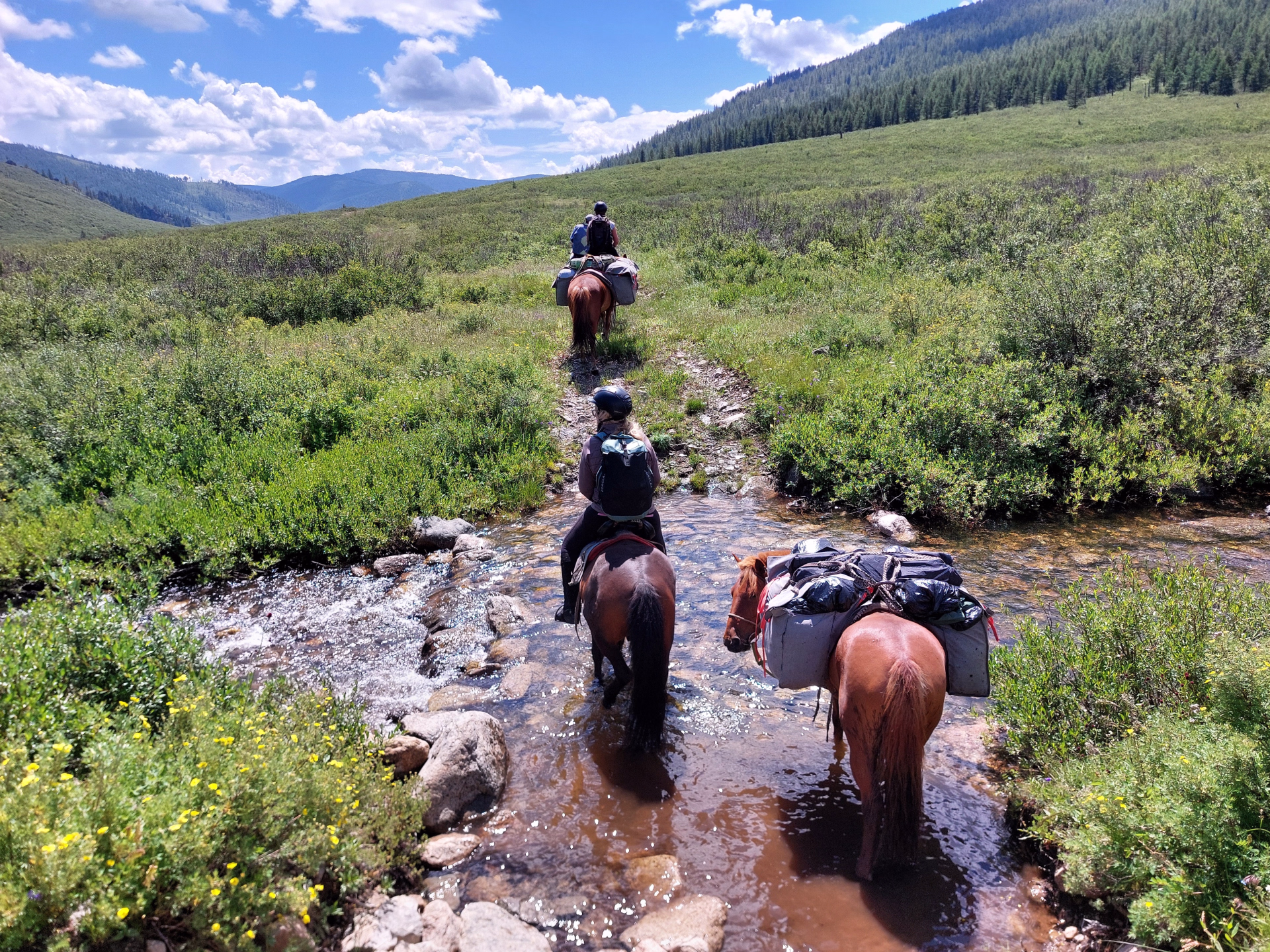 Randonnée à cheval dans le parc national de Terelj en Mongolie