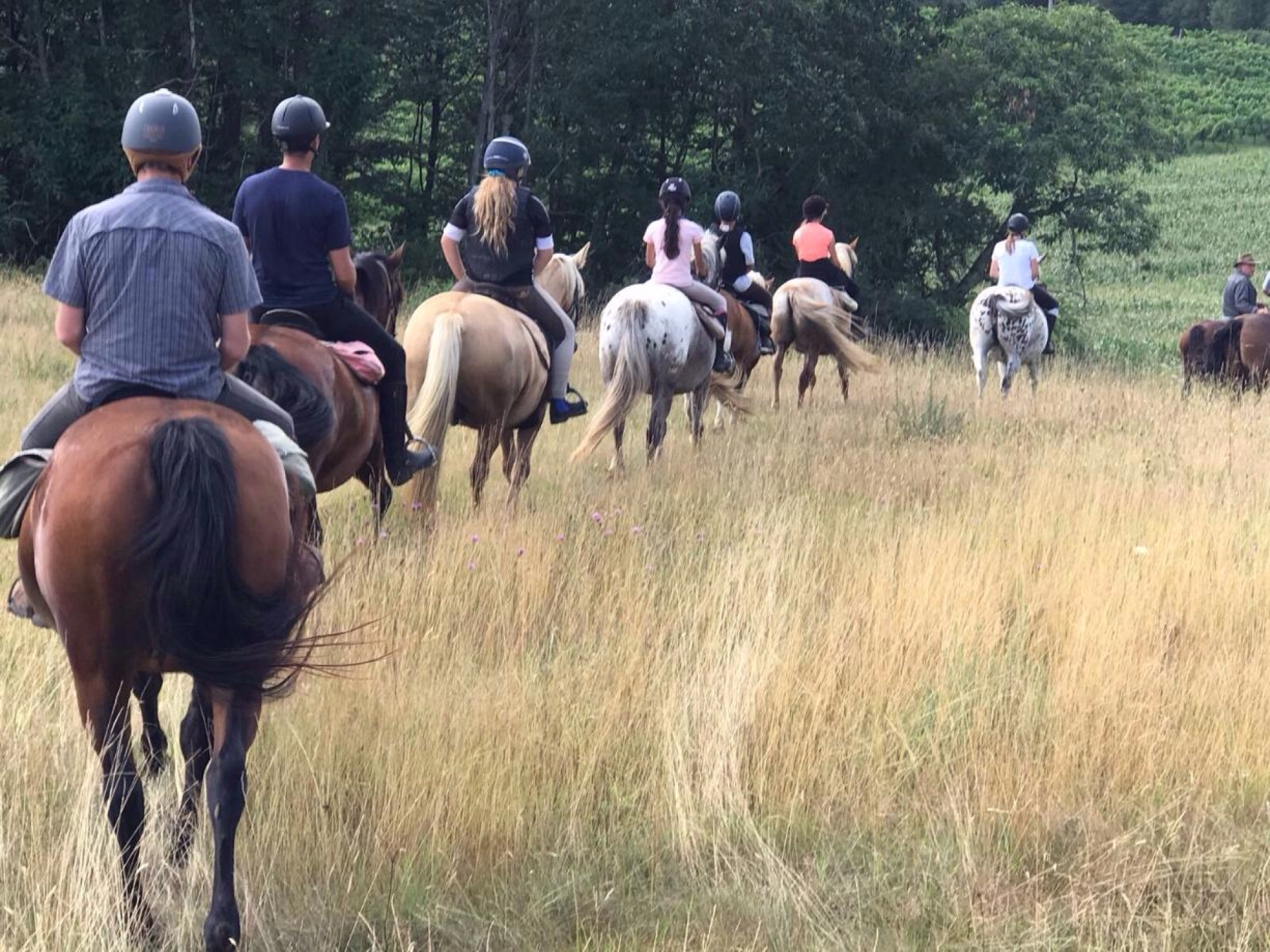 Randonnée à cheval et détente en Gascogne