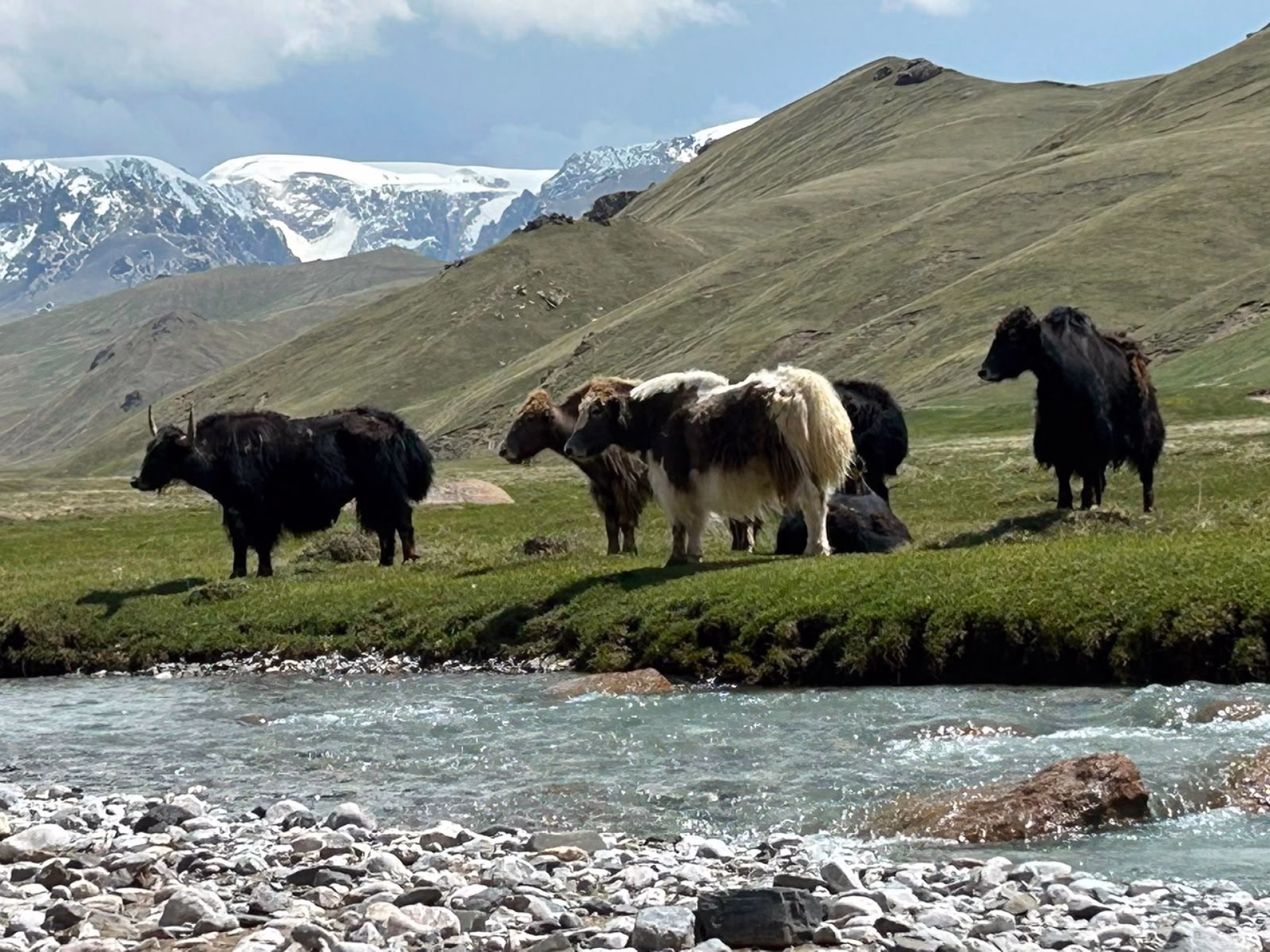Aventure équestre et immersion hivernale au Kirghizistan