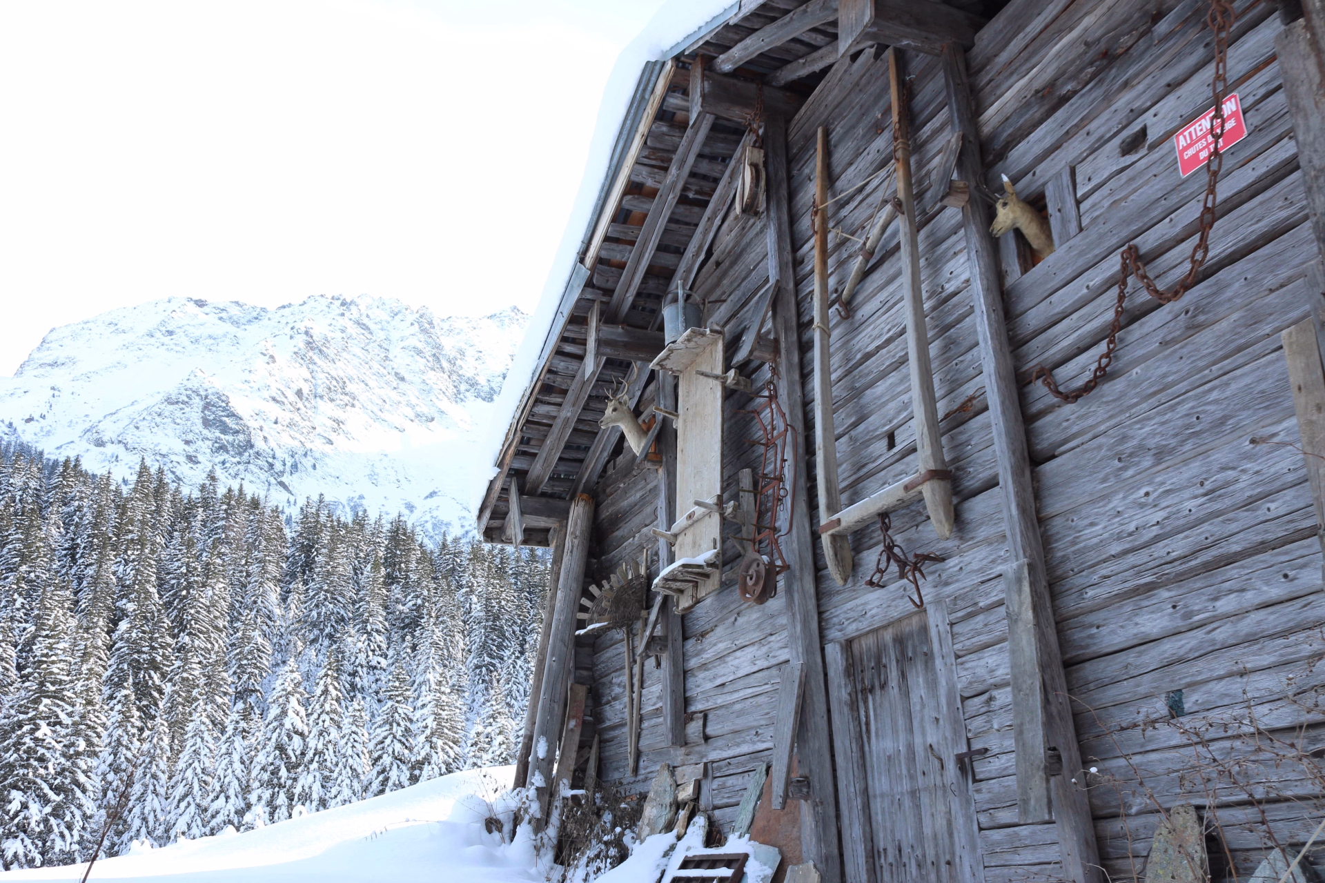 Séjour raquettes au pays du Mont-Blanc