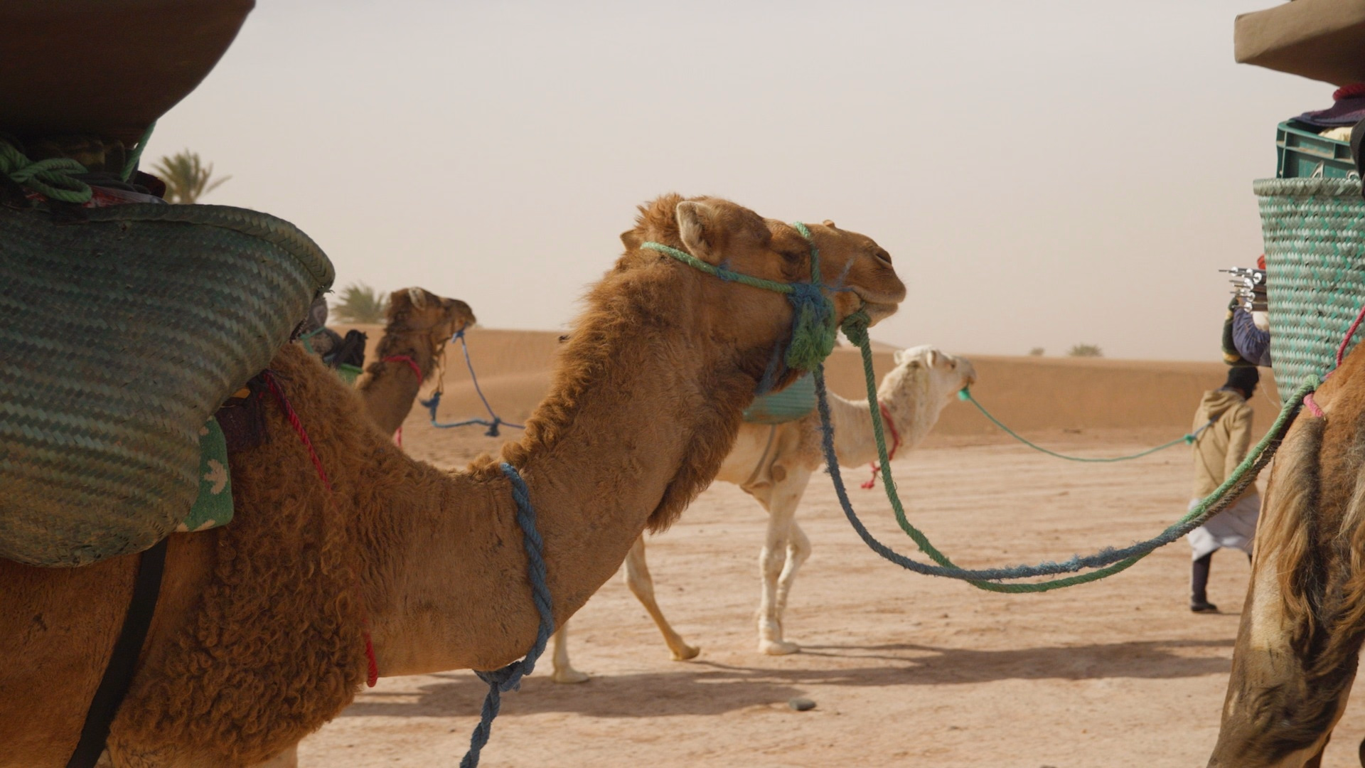 Séjour de 7 jours au départ de Marrakech : désert du Maroc et vallée