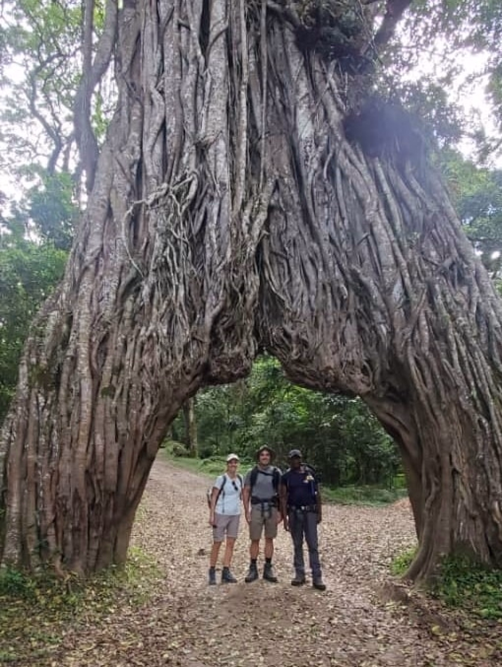 Randonnée de 4 jours au Mont Meru