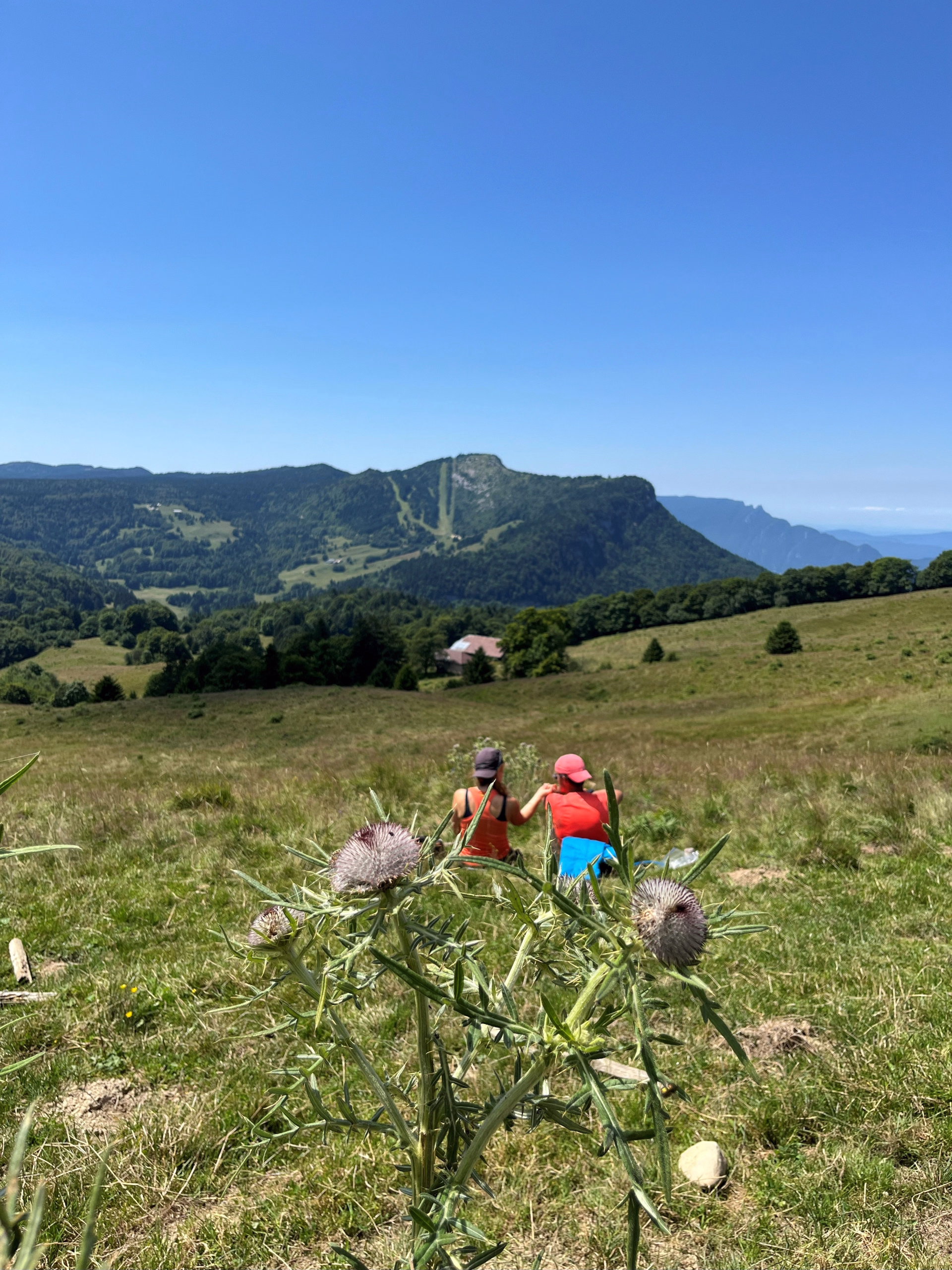 Traversée des plateaux avec les ânes