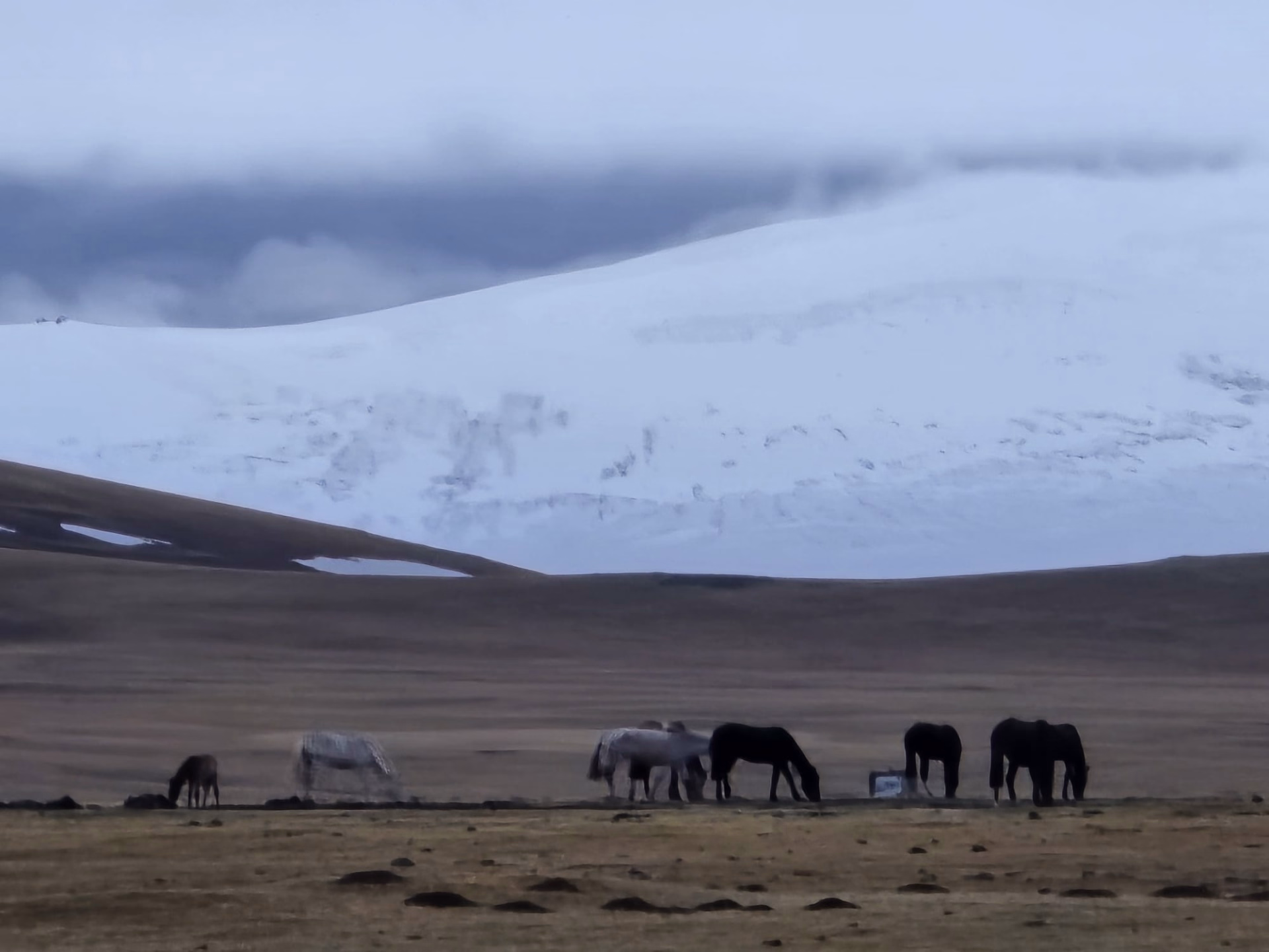 Aventure équestre et immersion hivernale au Kirghizistan