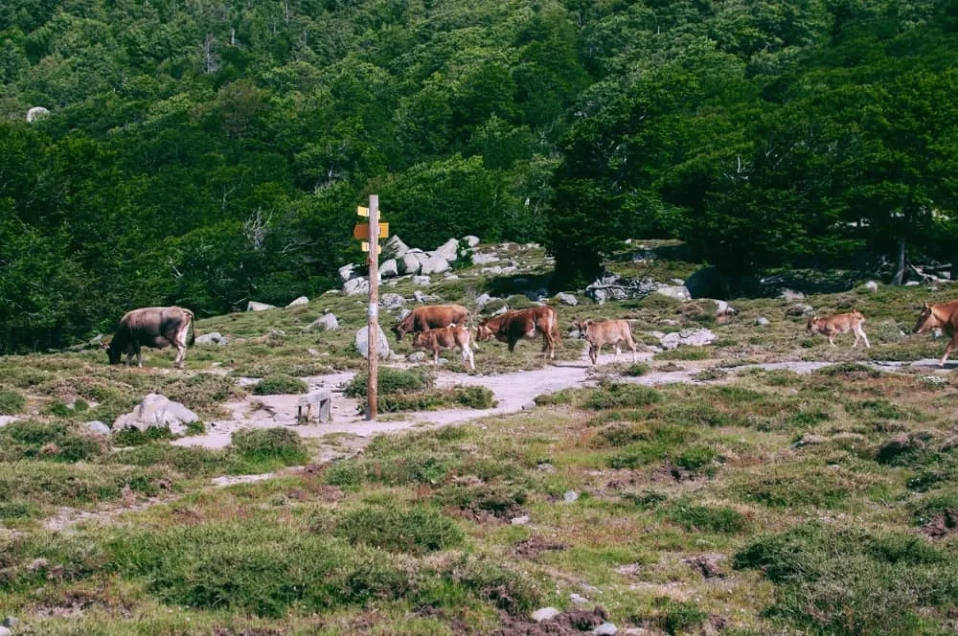 Excursion de 4 jours sur le GR20 Nord