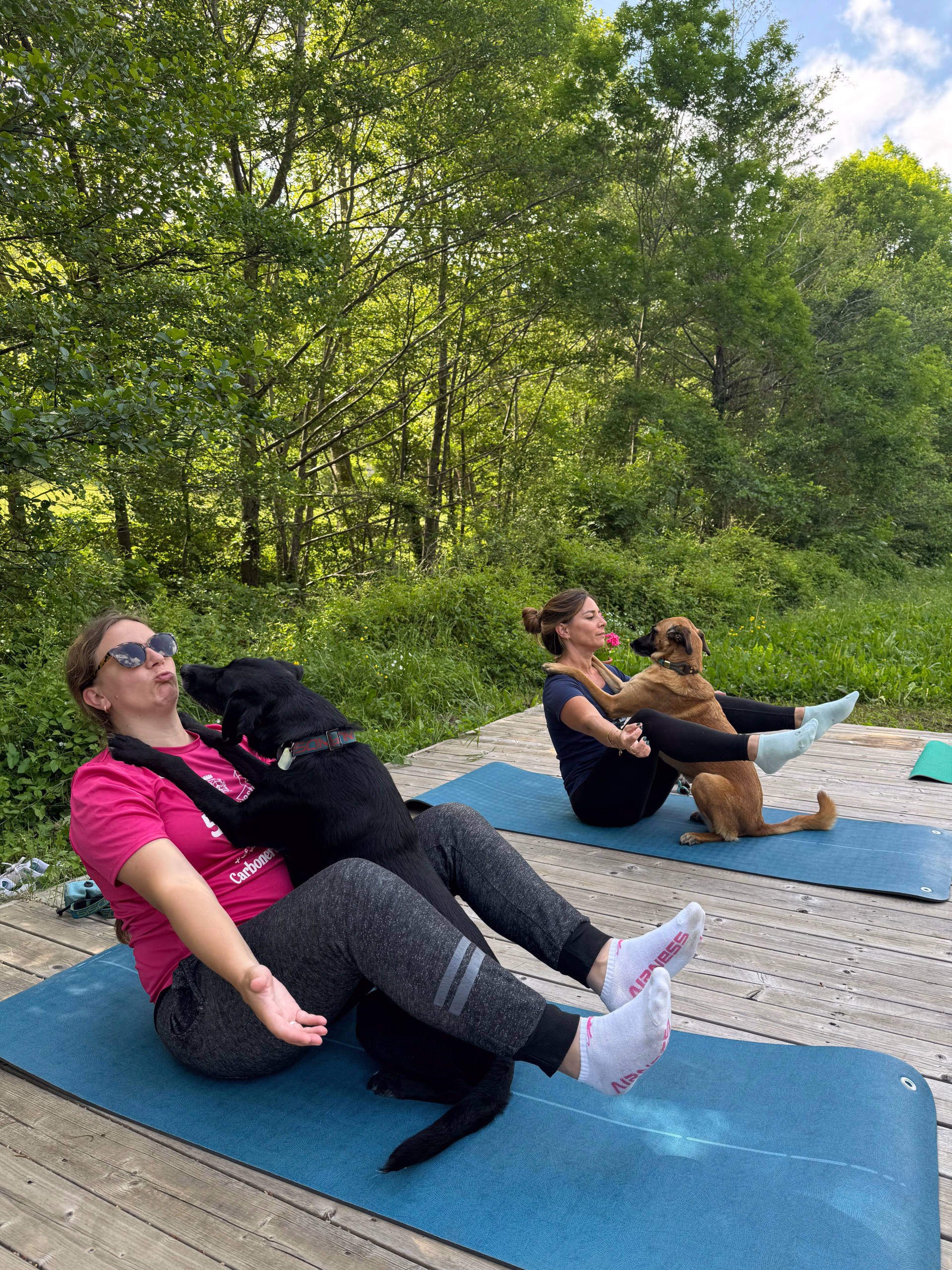 Séjour randonnée et doga dans le Gard avec votre chien