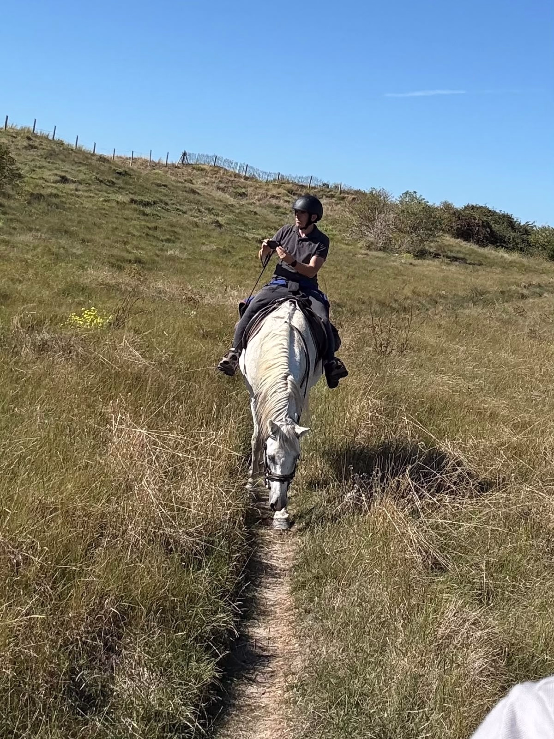 Randonnée à cheval en Baie du Mont-St-Michel entre Granville et Genêt
