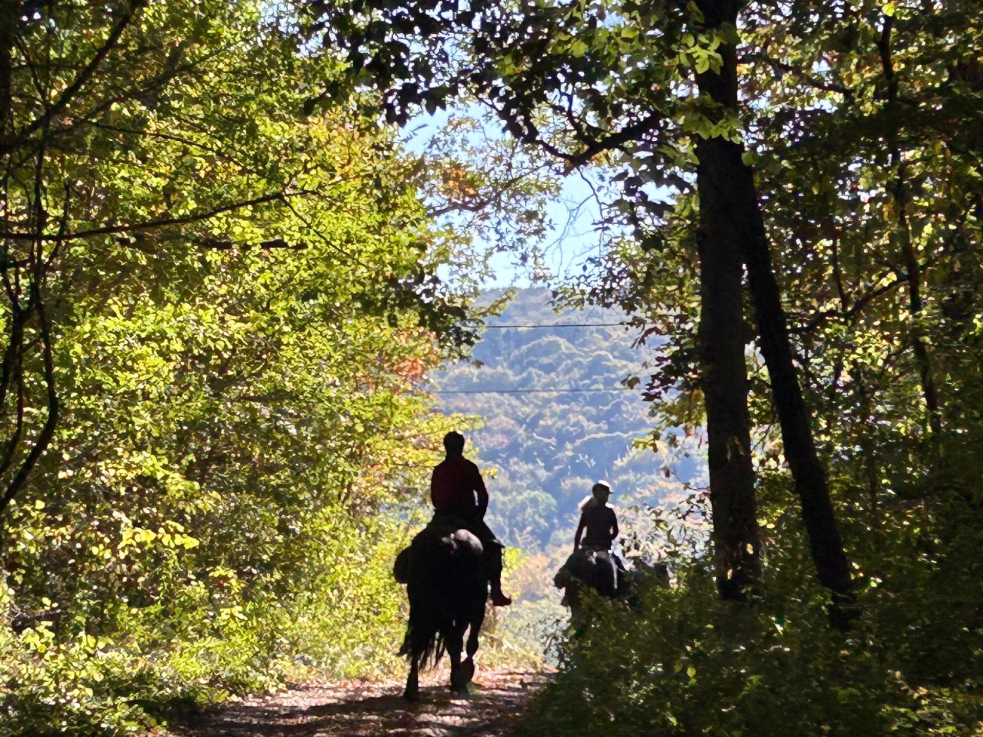 Belles demeures en Pyrénées cathares à cheval