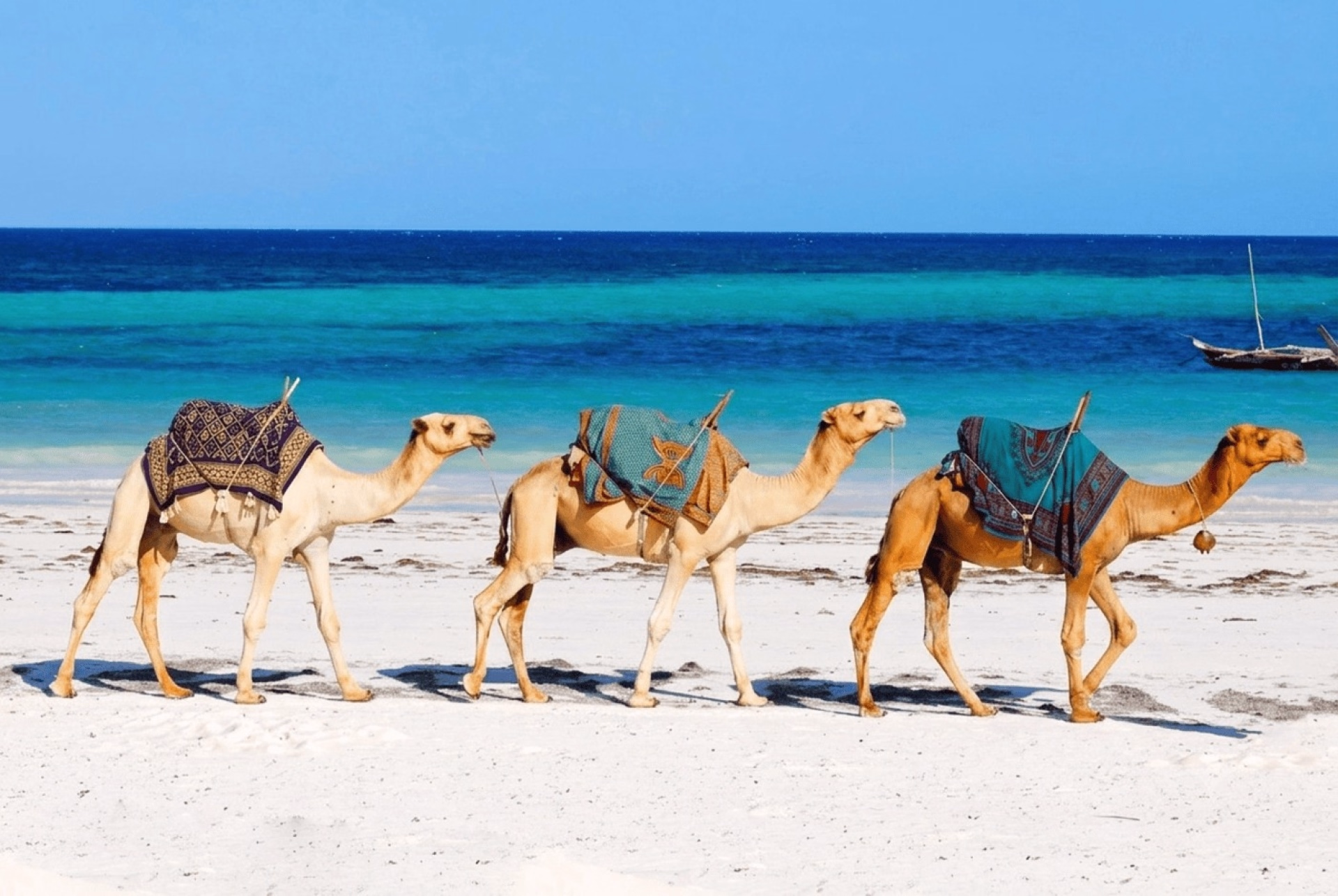 Excursion 4 jours sur la plage au Kenya