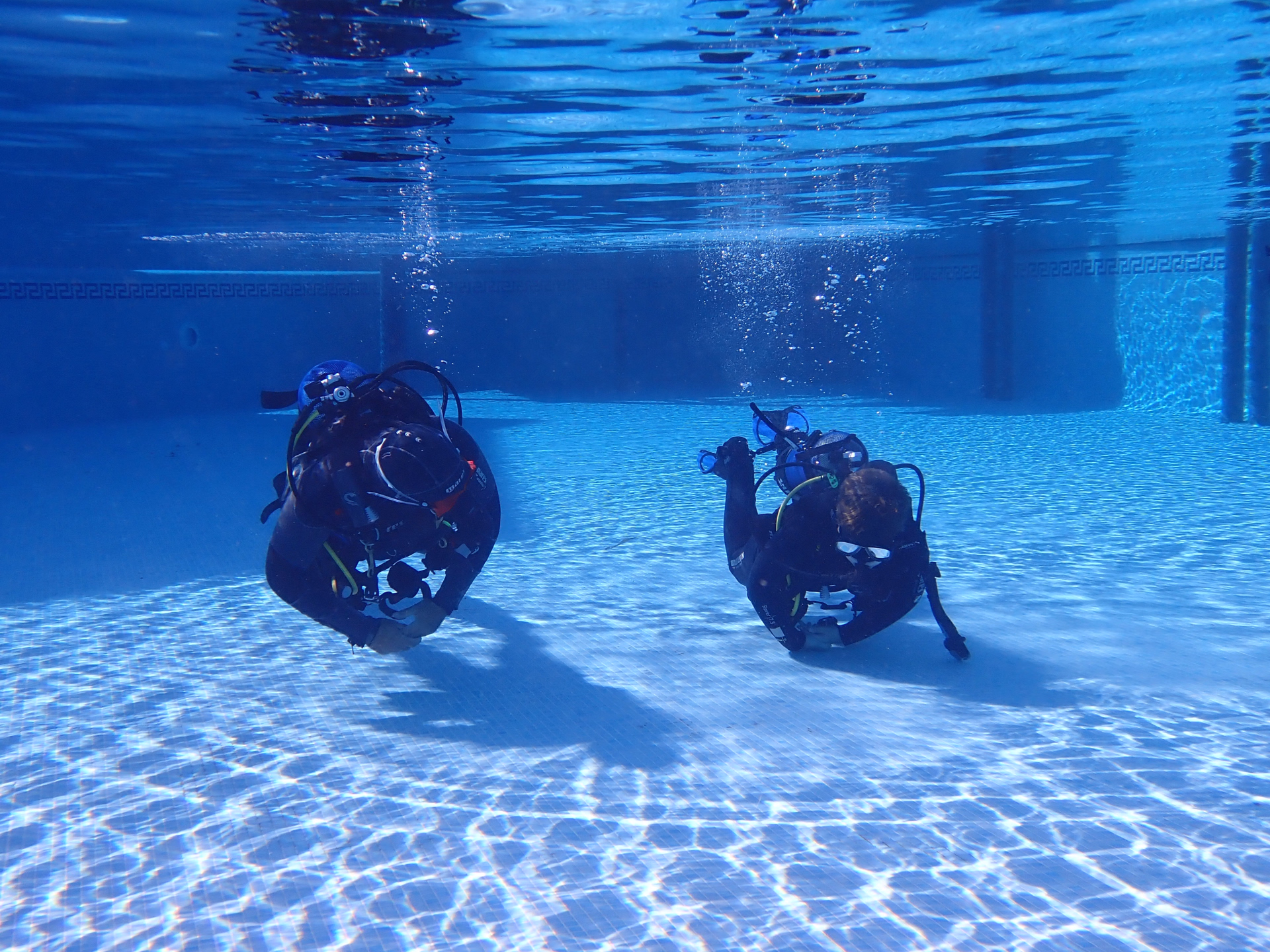 Devenez plongeur certifié et explorez le Musée Atlantique