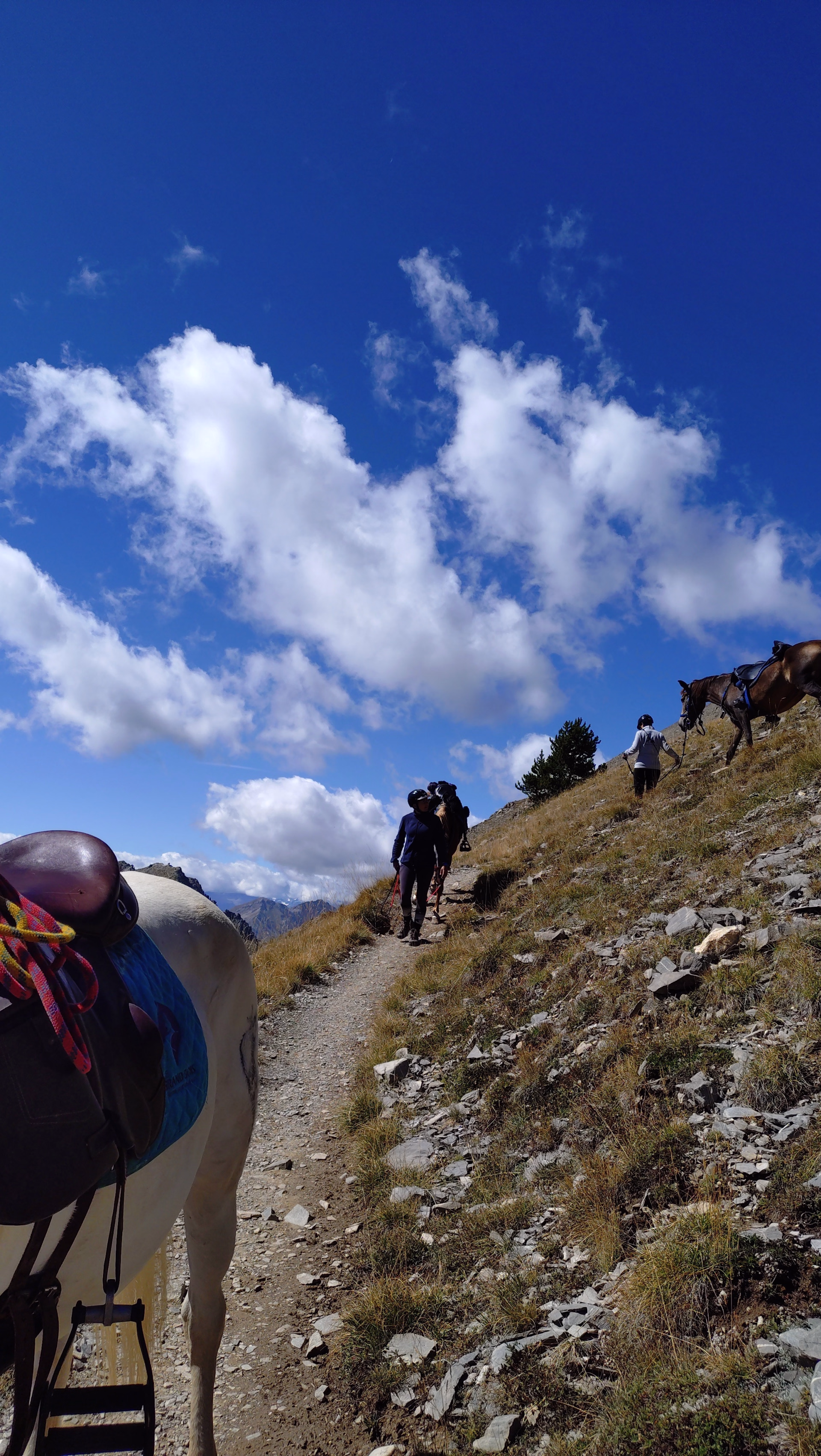 Trek des lacs et panoramas du Viso en Queyras