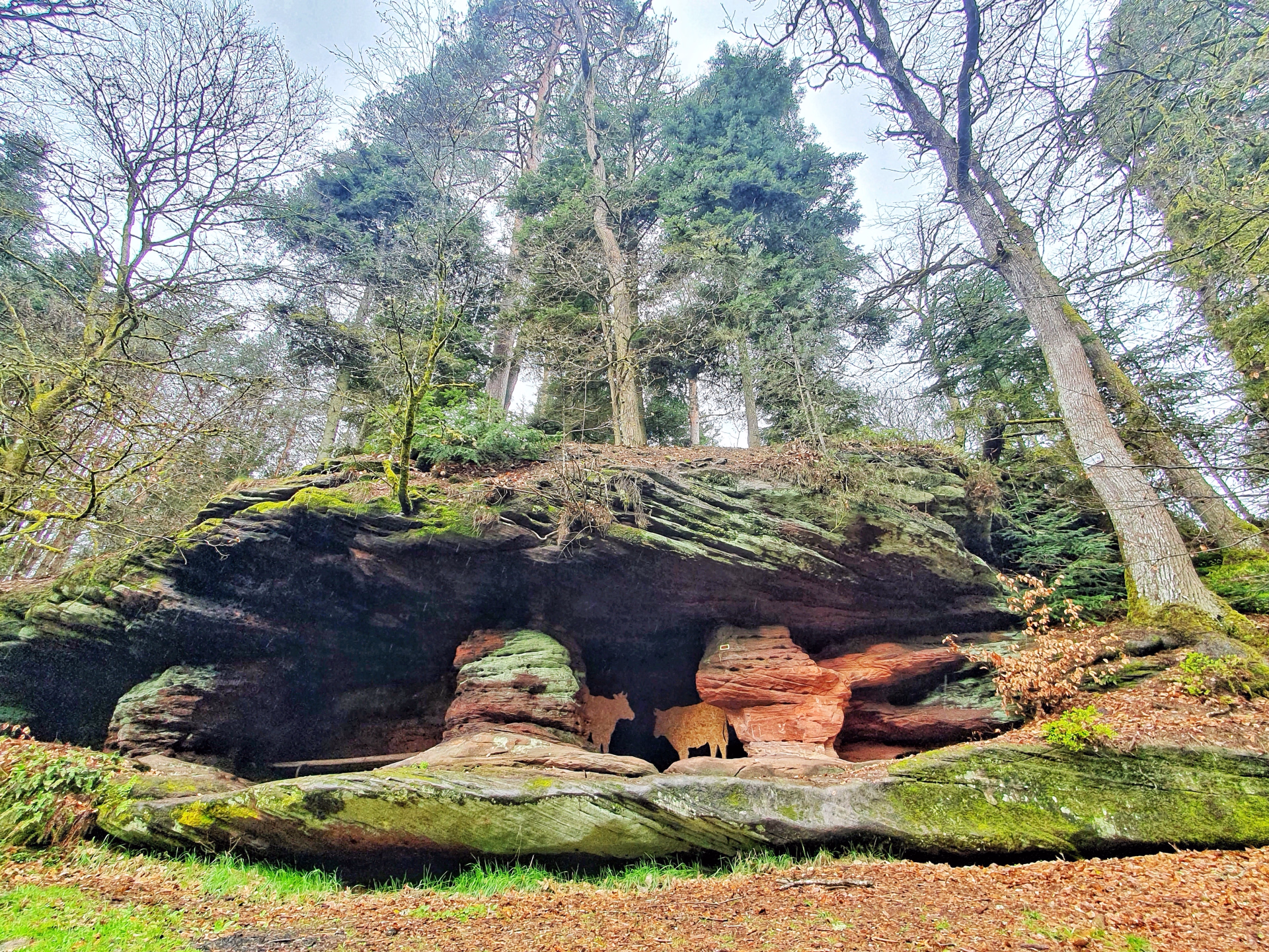 Randonnée 3 jours au cœur des Vosges du Nord en Alsace