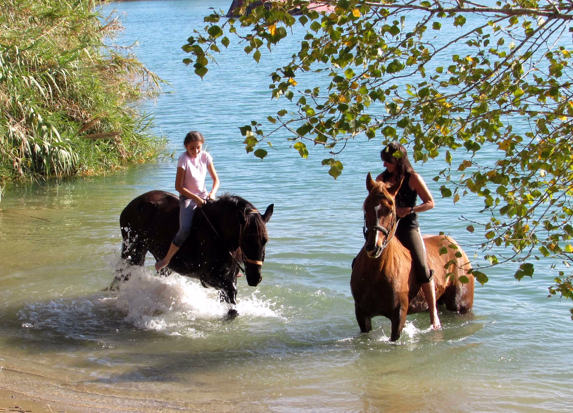 Randonnée à cheval en Catalogne