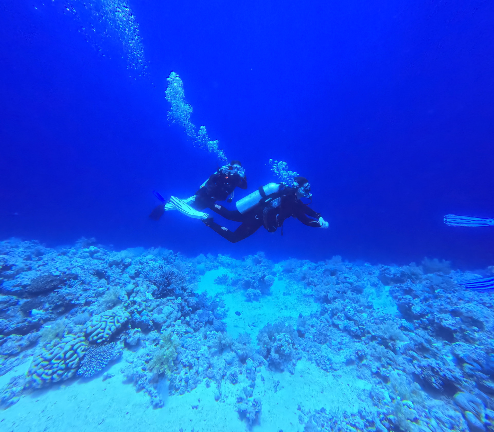 Plongée débutant à Safaga en mer Rouge