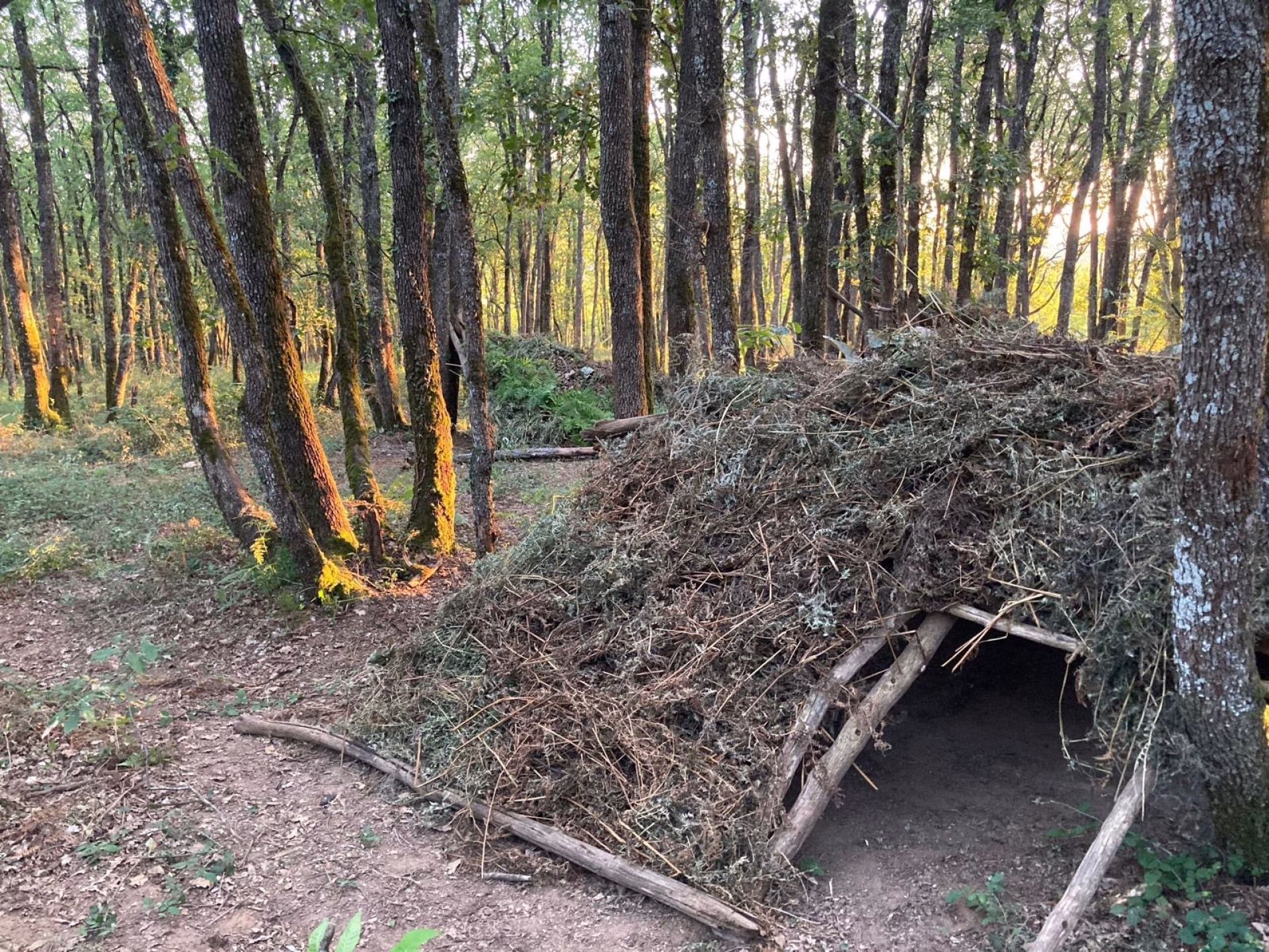 ⛺️ Bivouac/tente
