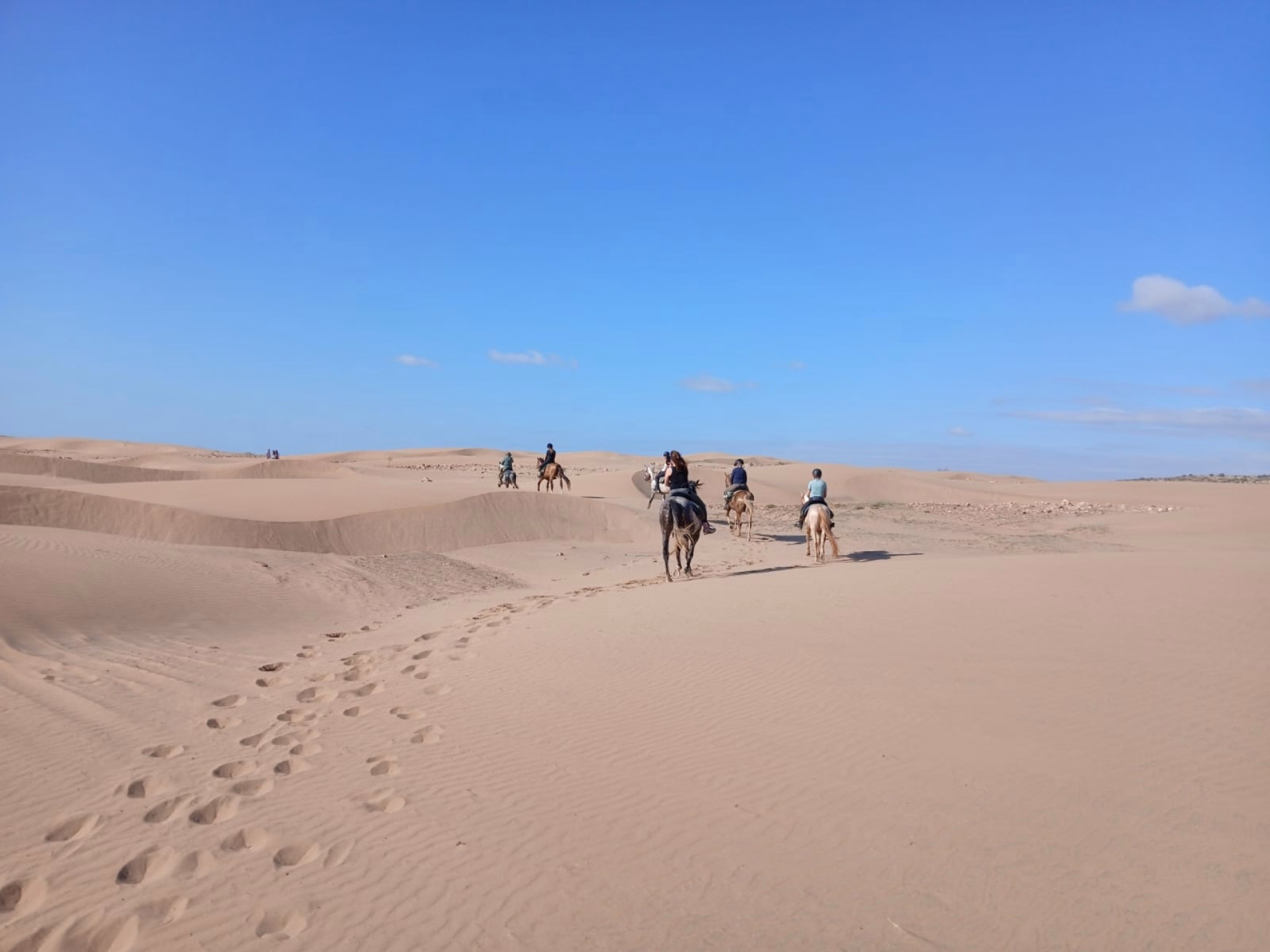 La Boucle d'Argana - Randonnée équestre à Essaouira