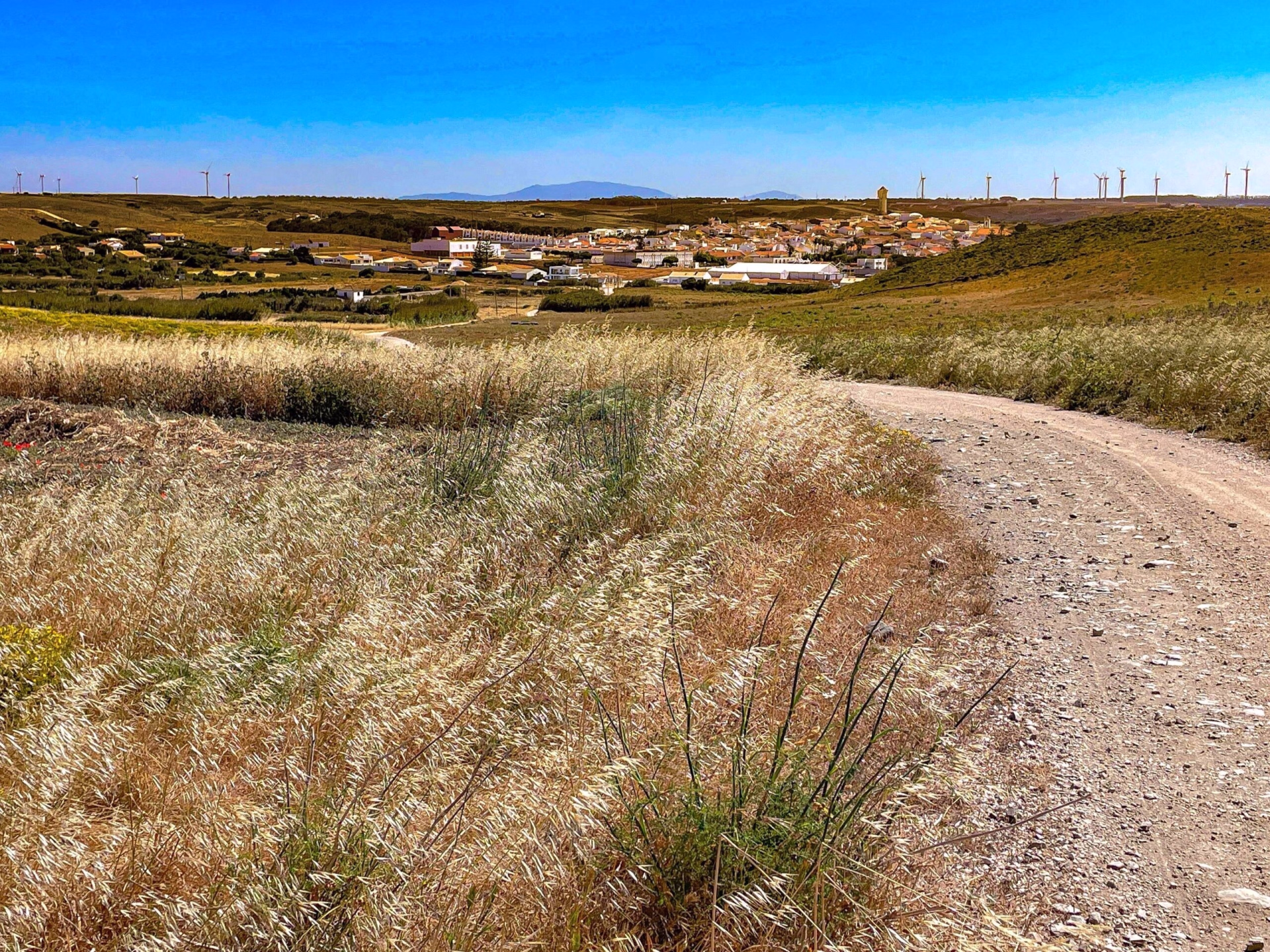 Explorez les plus beaux sites de l'Algarve en vélo gravel